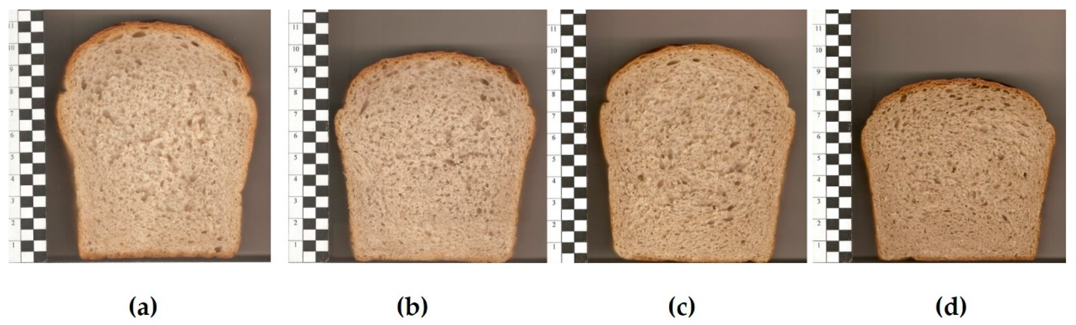 Applsci 14 10570 g002