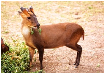 Applsci 14 10582 i003