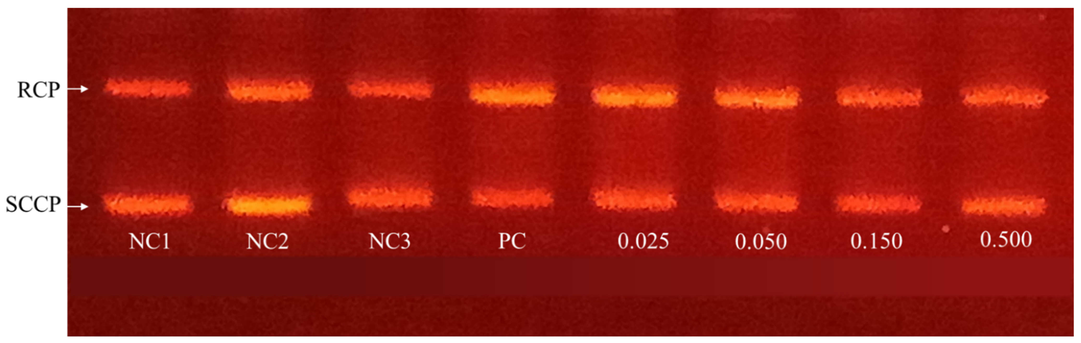 Applsci 14 10602 g002