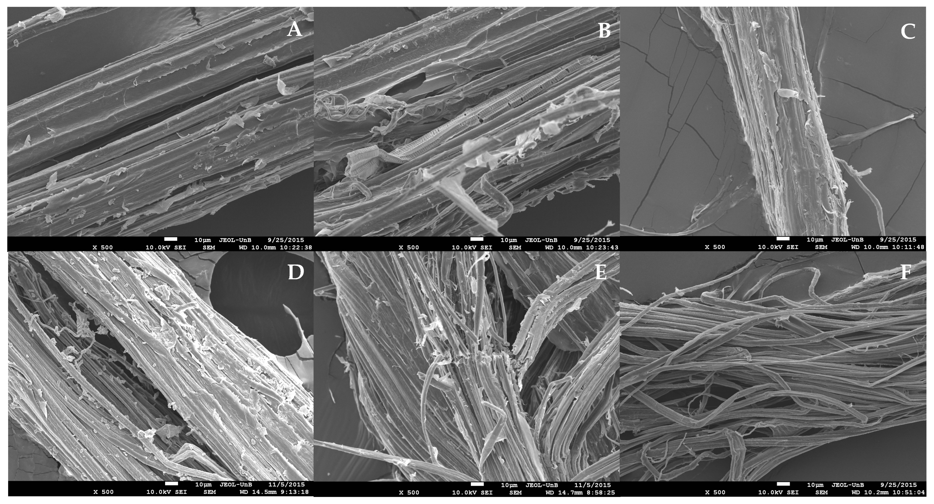 Applsci 14 10621 g001