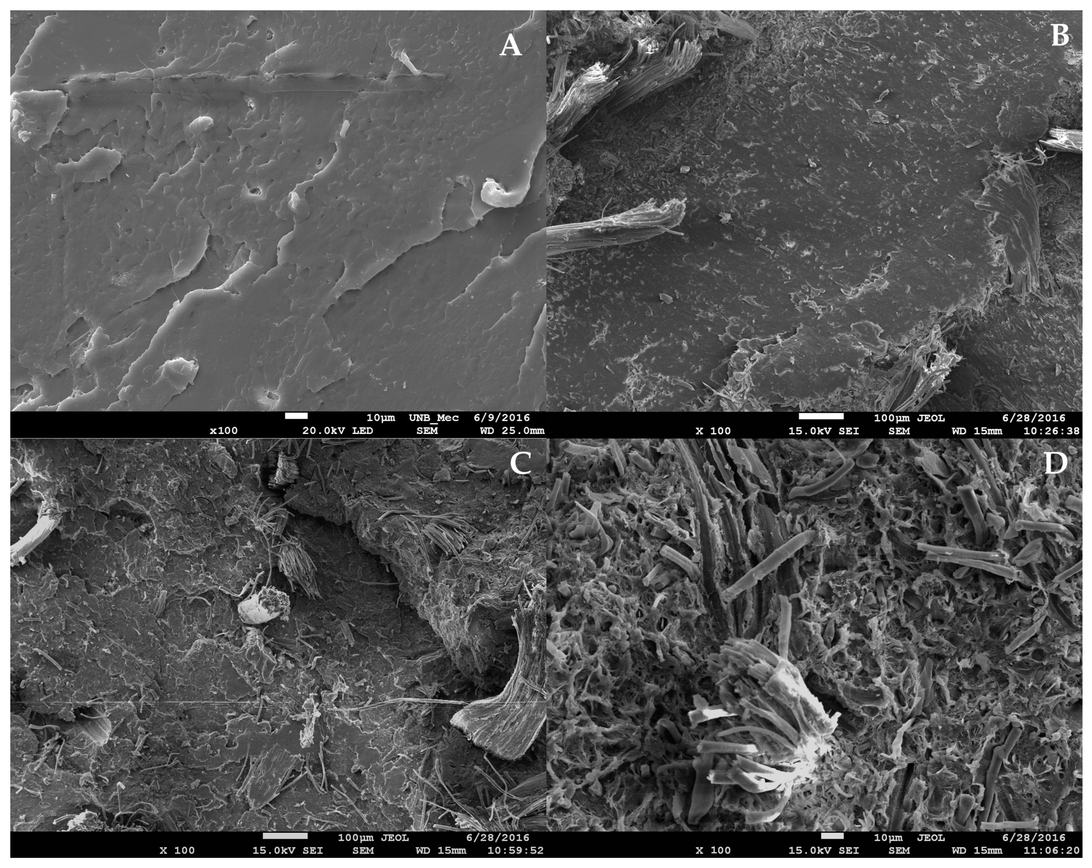 Applsci 14 10621 g004