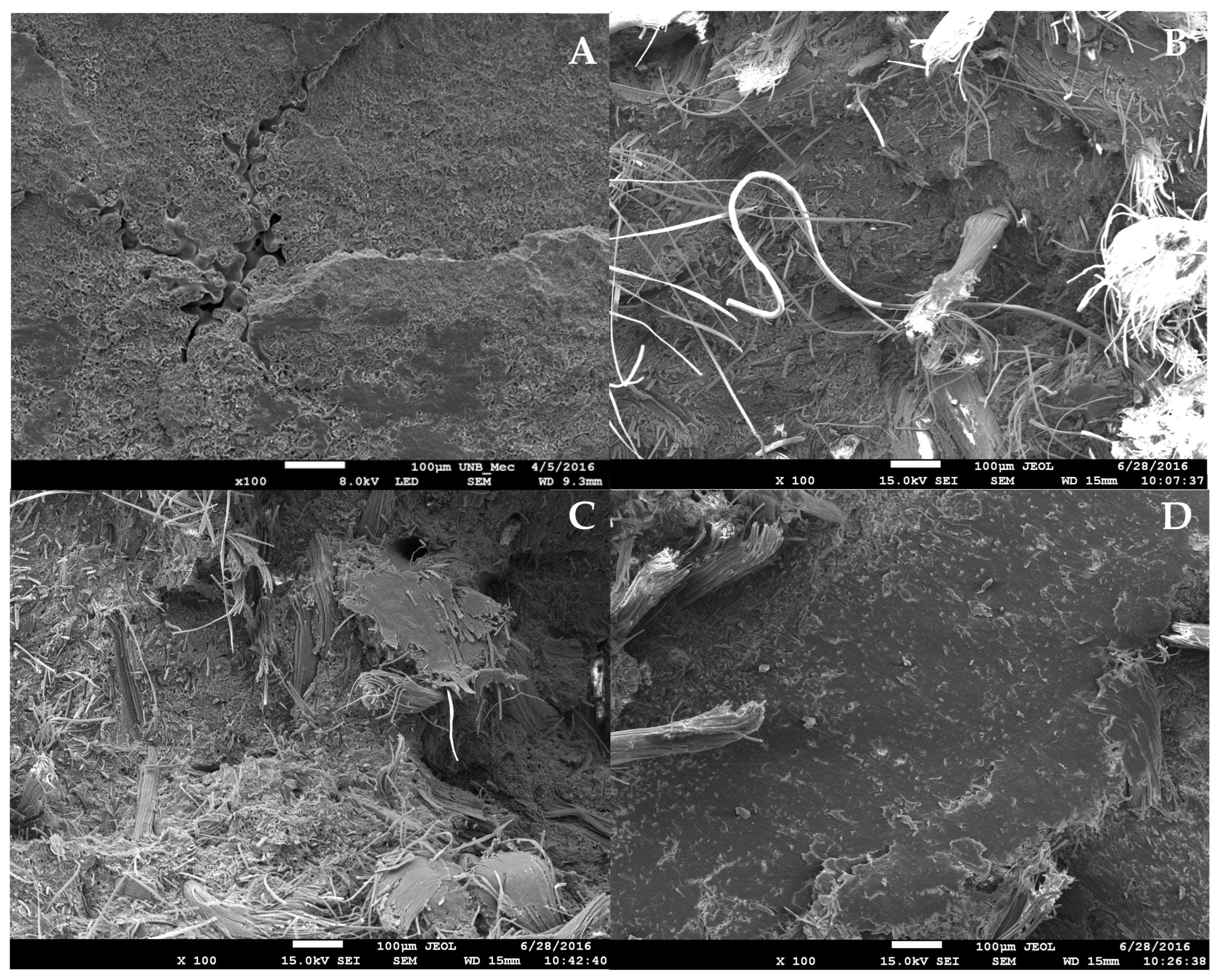 Applsci 14 10621 g005