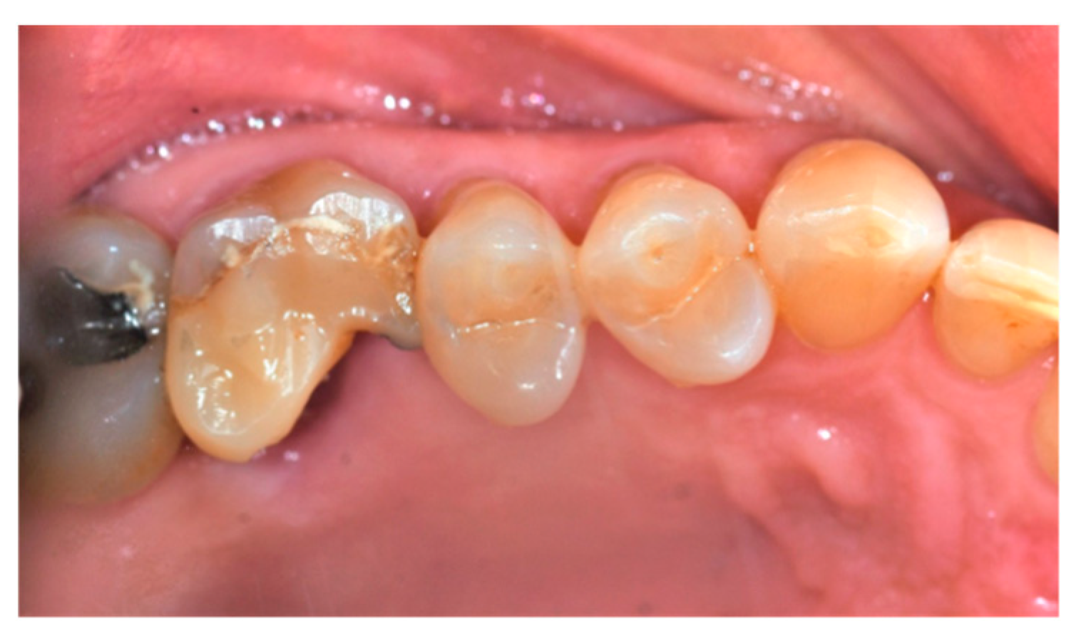 Applsci 14 10623 g001