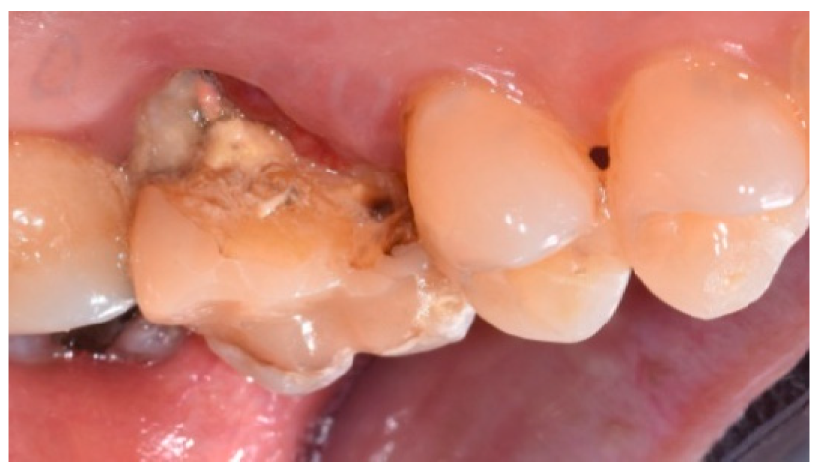 Applsci 14 10623 g002