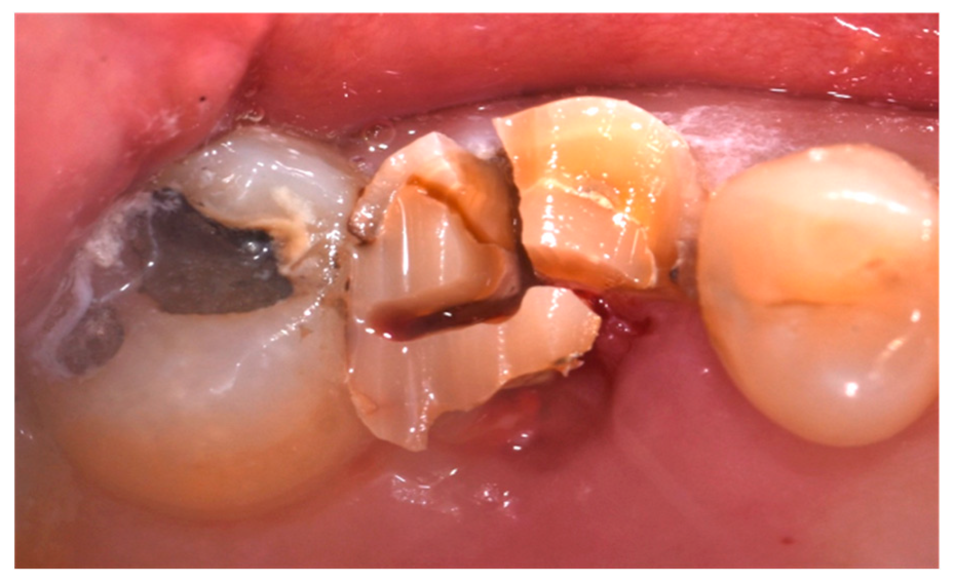 Applsci 14 10623 g004