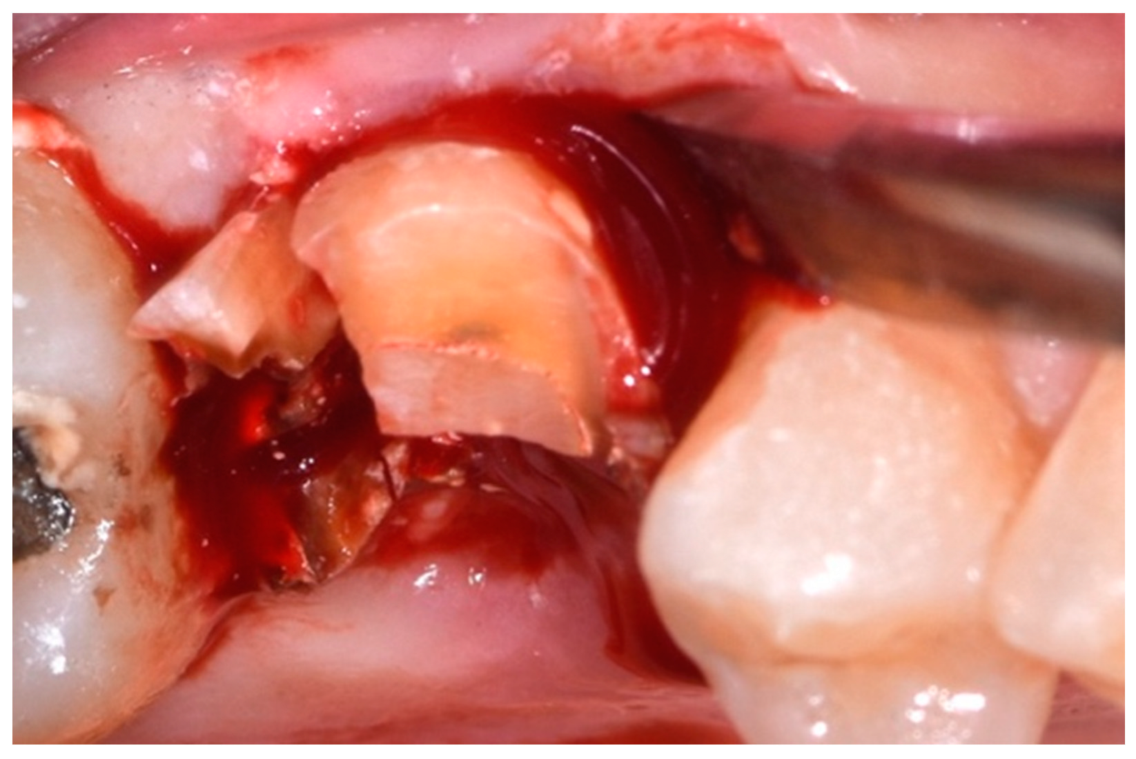 Applsci 14 10623 g005