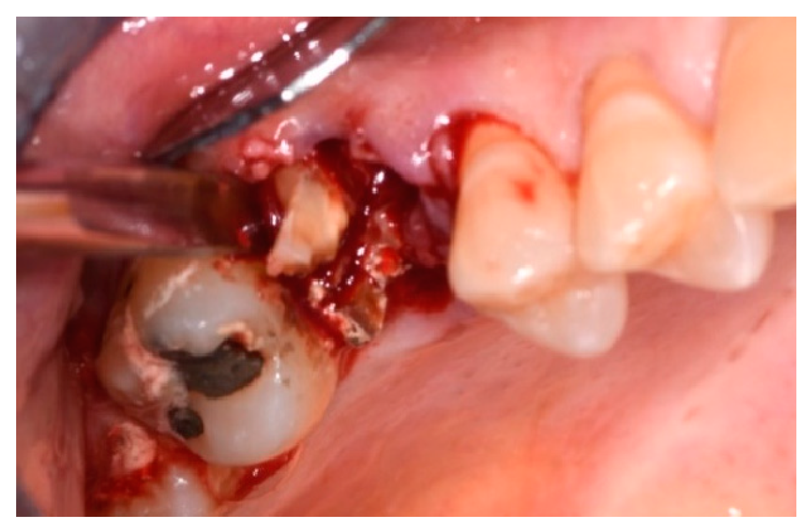 Applsci 14 10623 g007