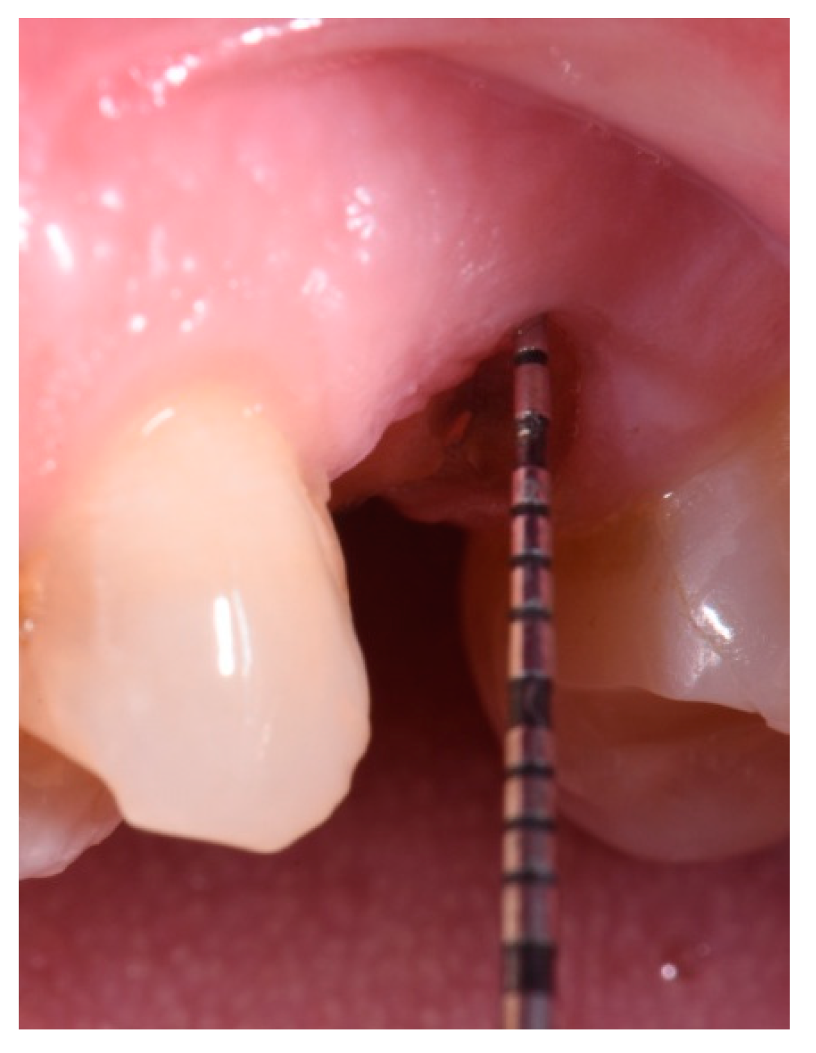 Applsci 14 10623 g010