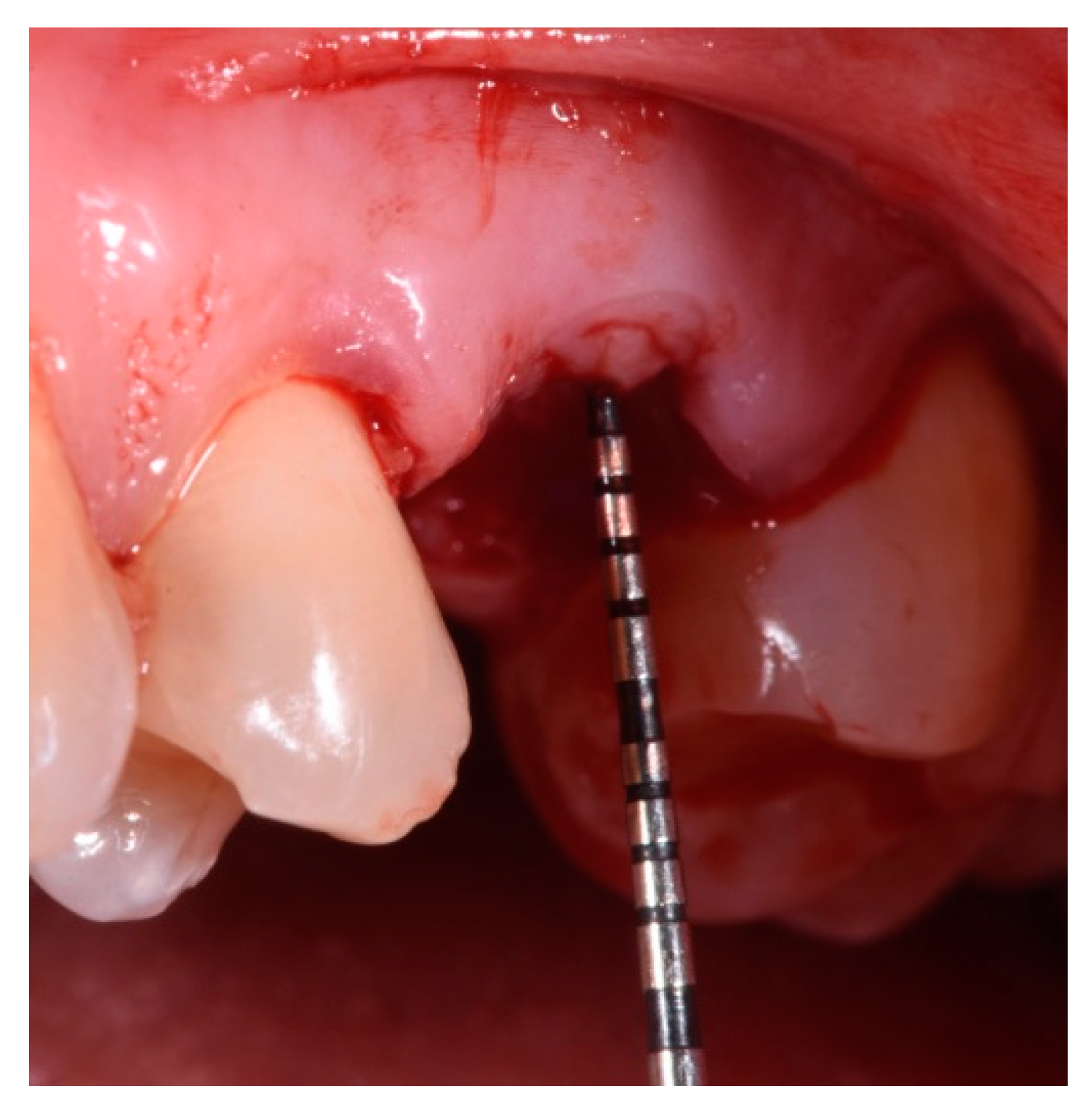 Applsci 14 10623 g011