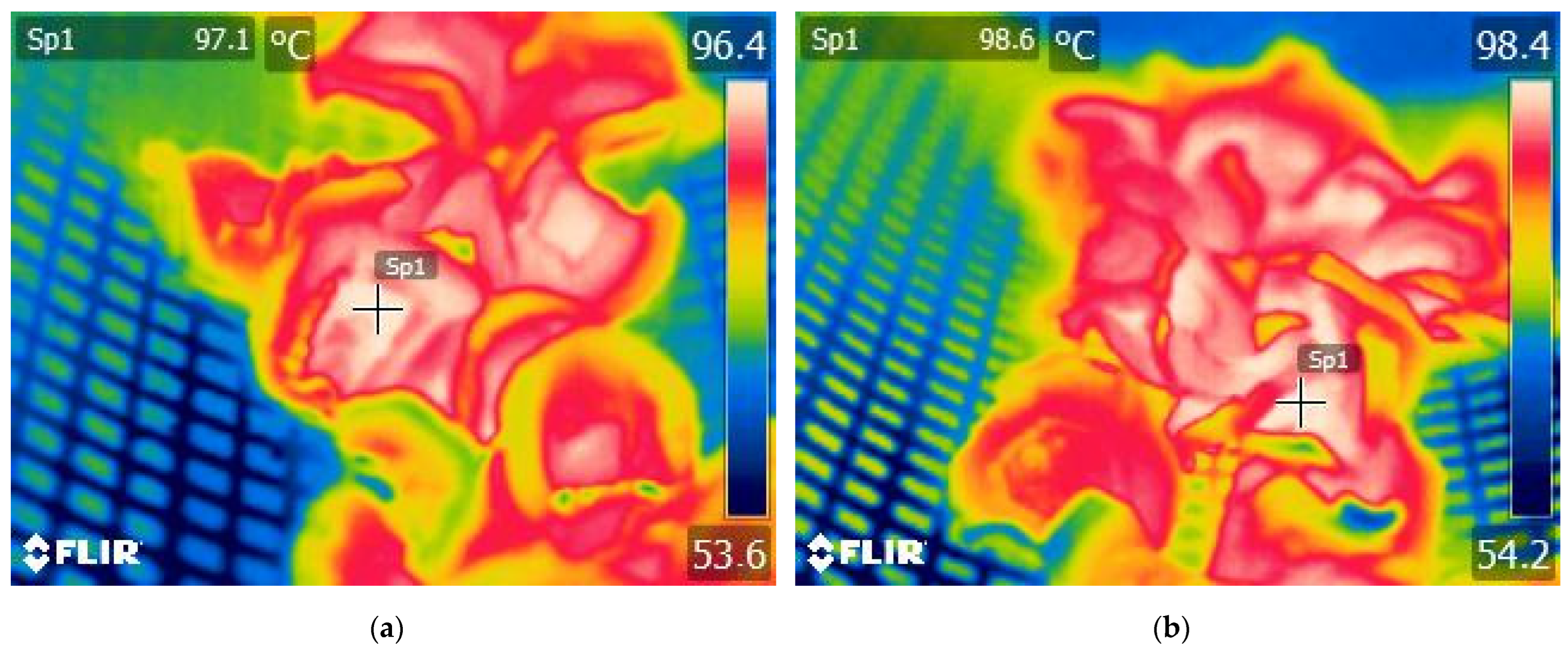 Applsci 14 10676 g005