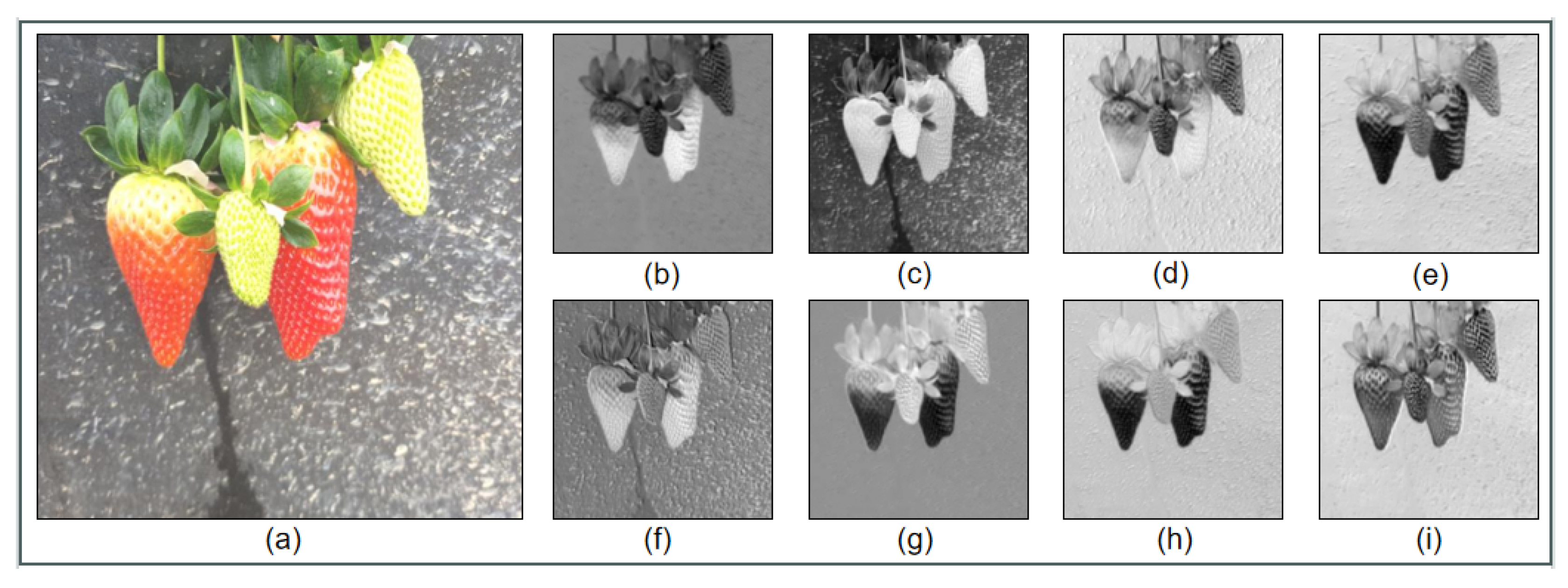 Applsci 14 10690 g003