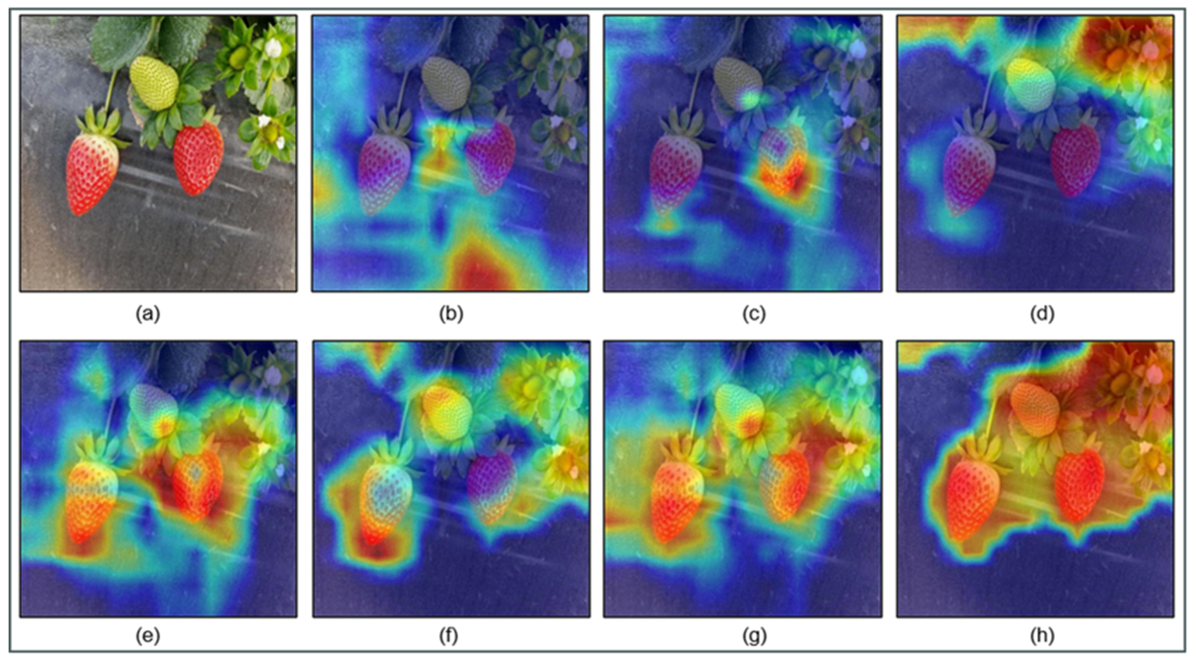 Applsci 14 10690 g010