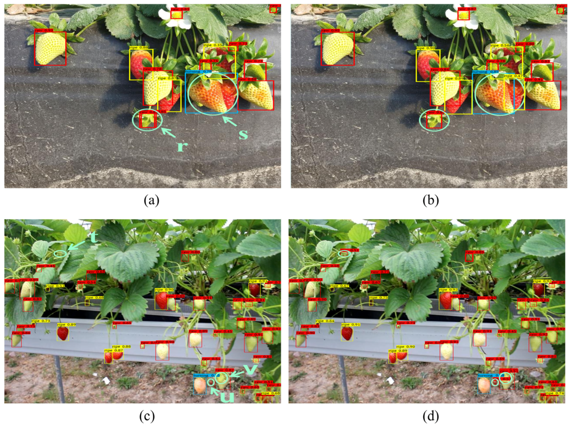 Applsci 14 10690 g011