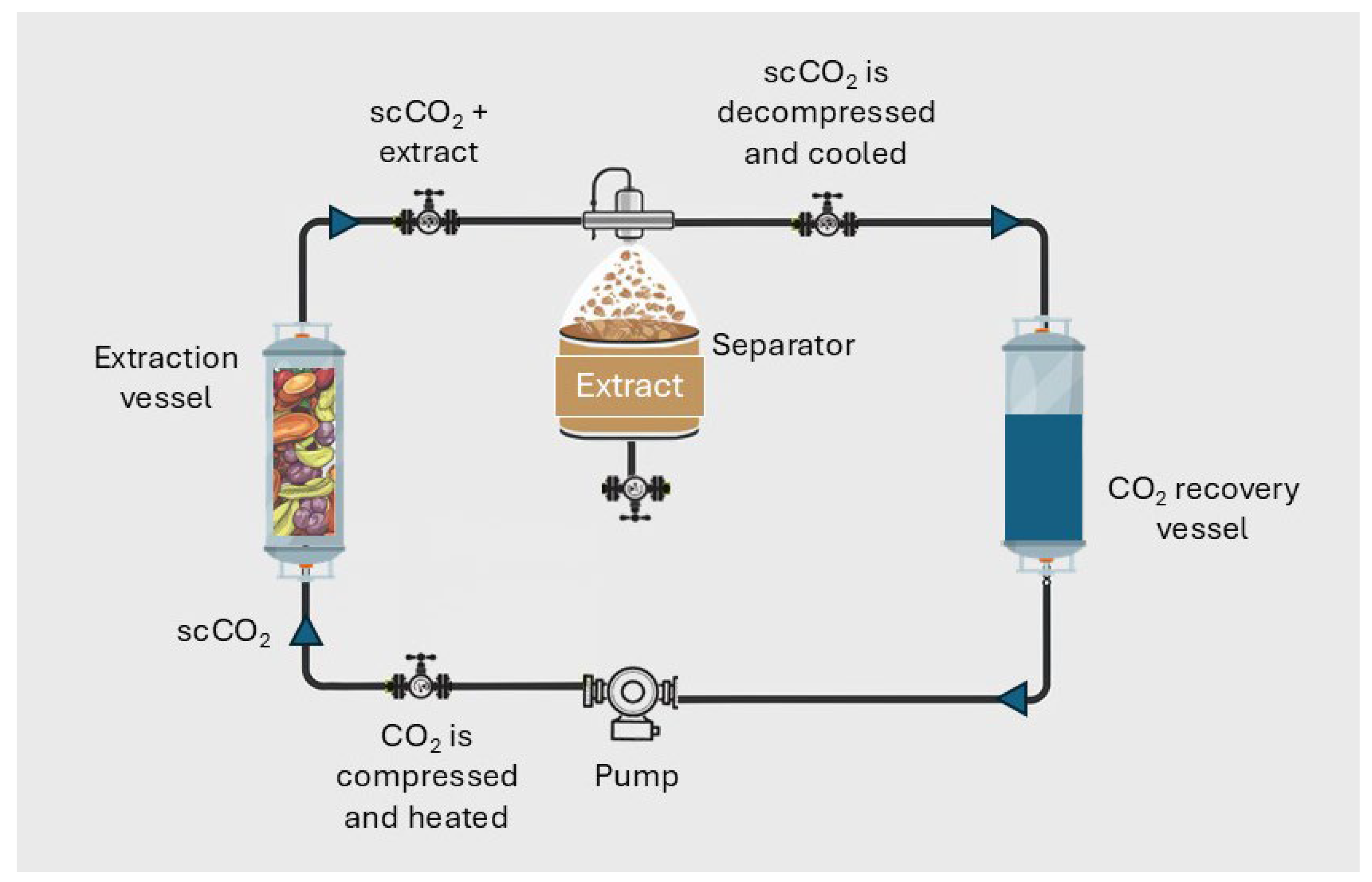Applsci 14 10785 g003