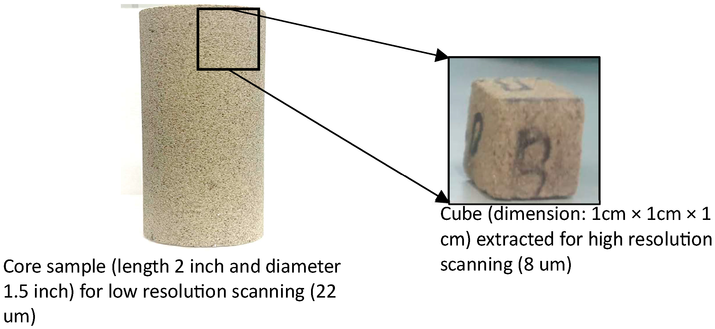 Applsci 14 10826 g005 Applsci 14 10826 g005