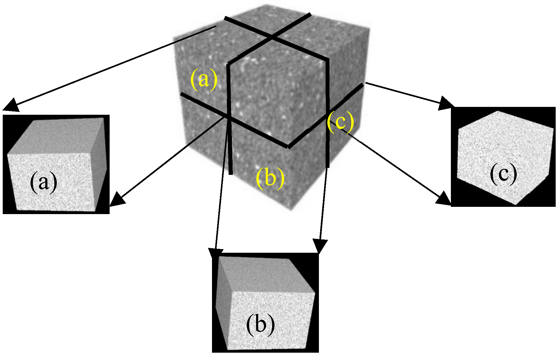 Applsci 14 10826 g009 Applsci 14 10826 g009