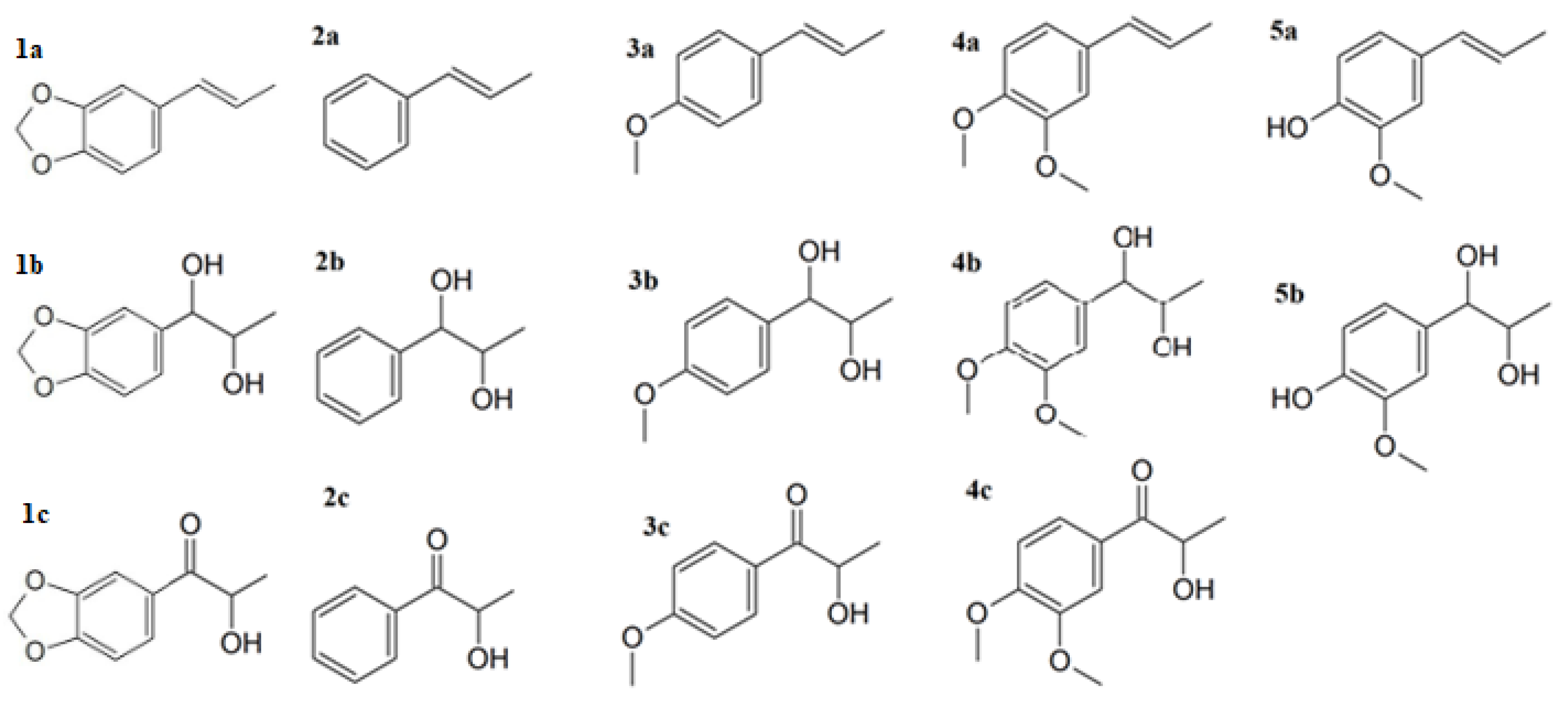 Applsci 14 10856 g001