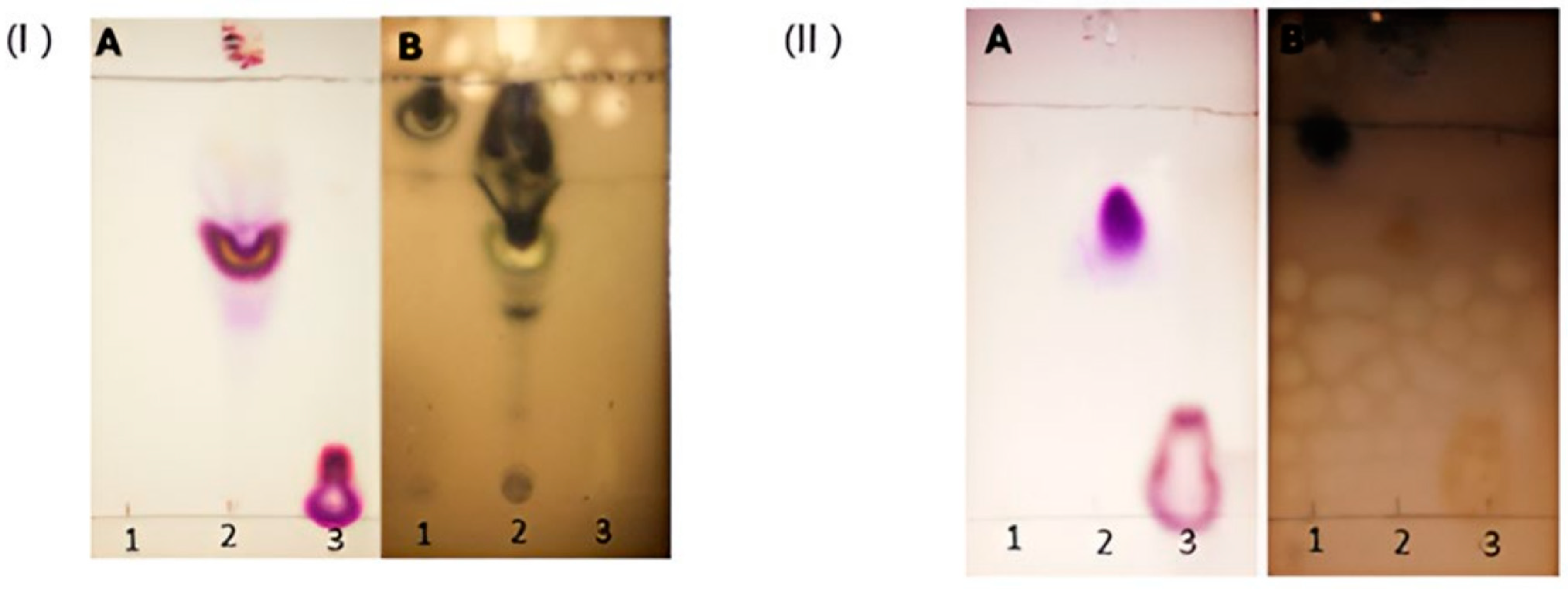 Applsci 14 10892 g002 Applsci 14 10892 g002