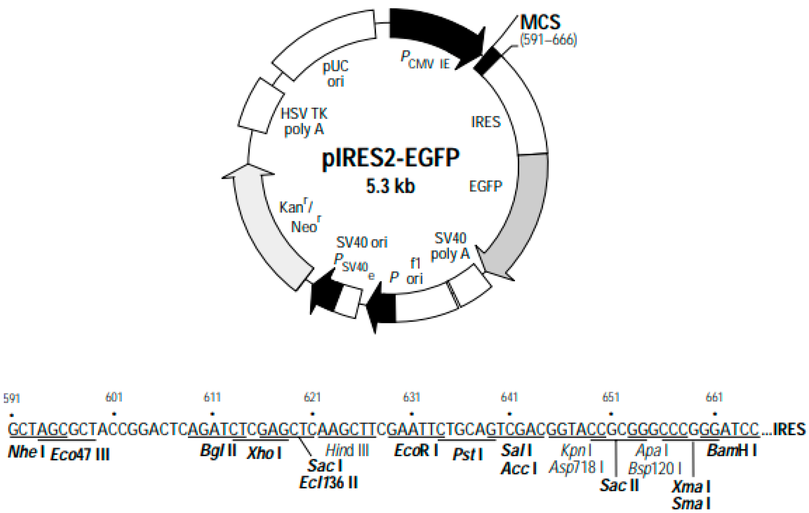 Applsci 14 10892 g005 Applsci 14 10892 g005