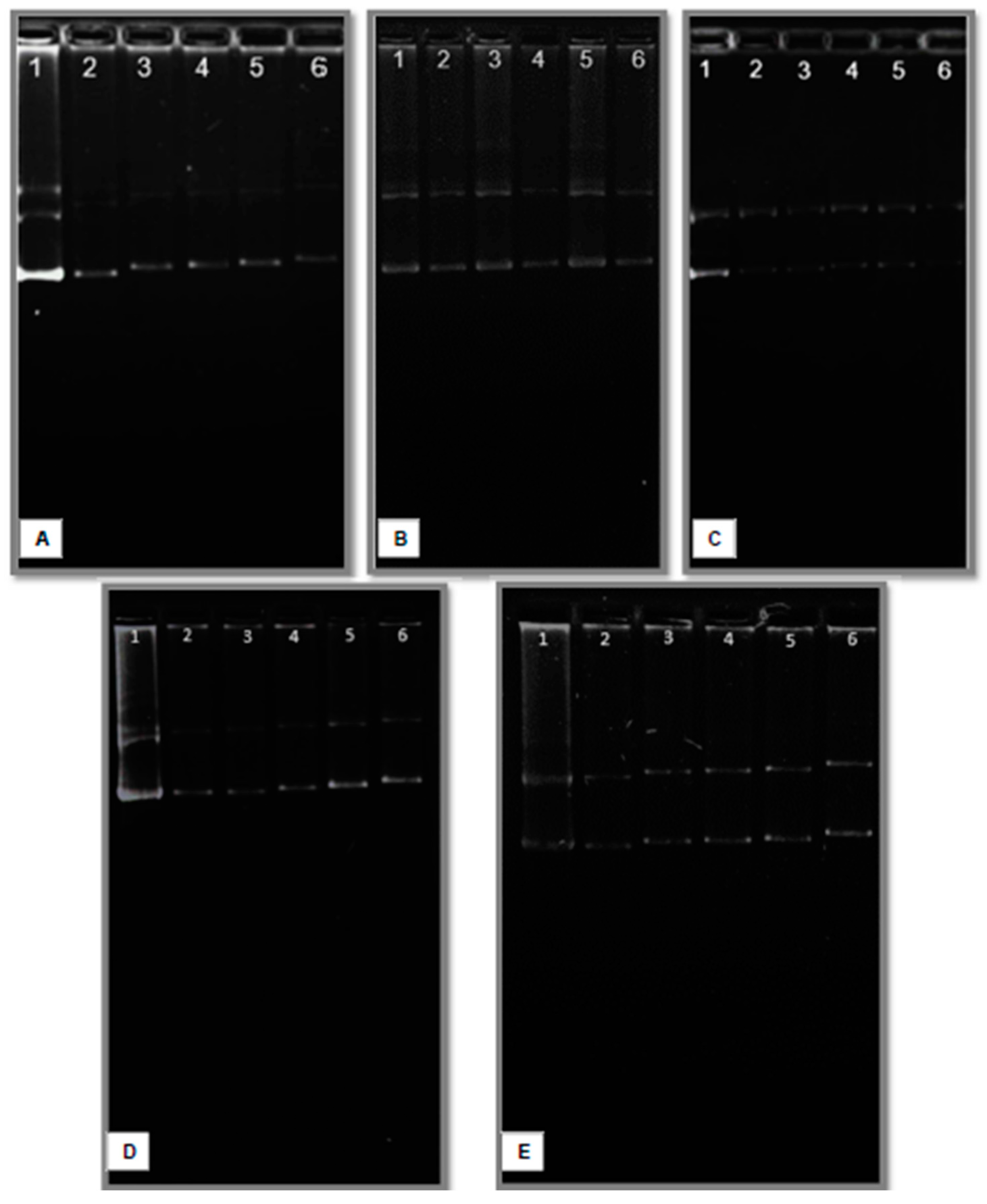 Applsci 14 10892 g007 Applsci 14 10892 g007