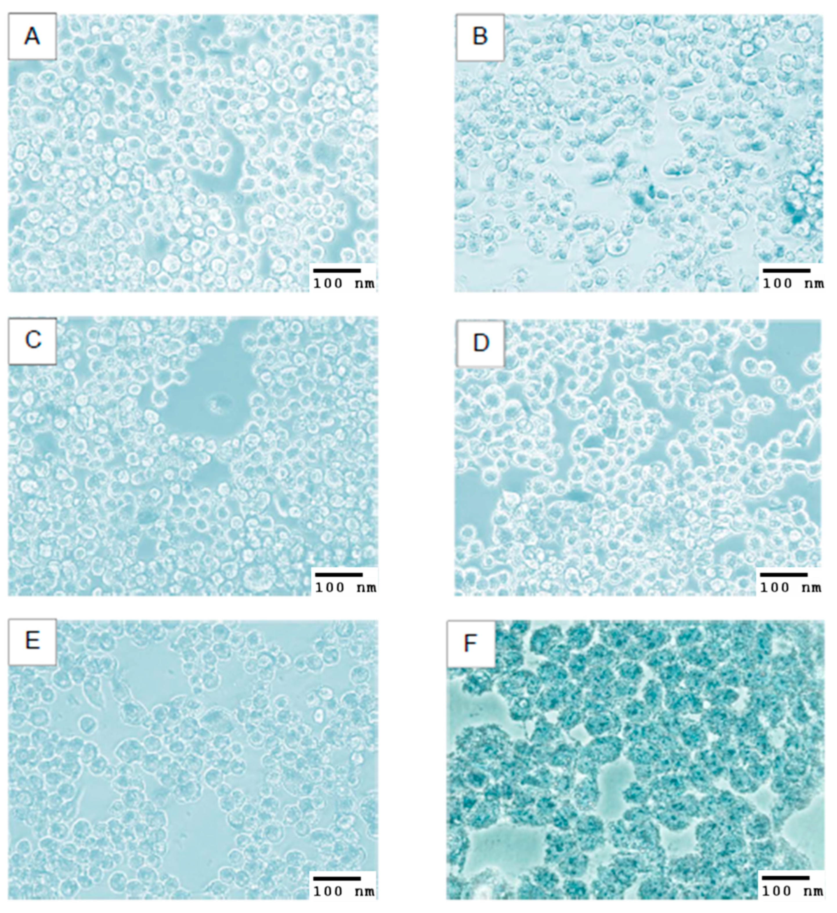 Applsci 14 10892 g011 Applsci 14 10892 g011