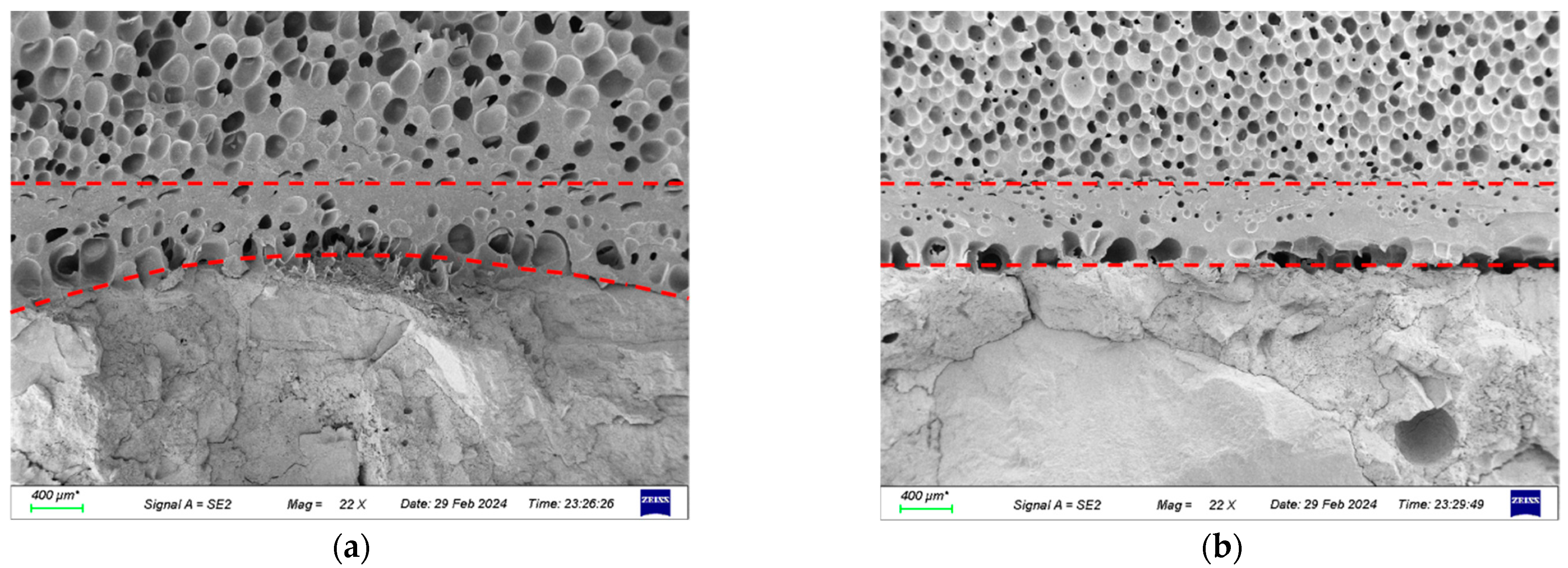 Applsci 14 10915 g020