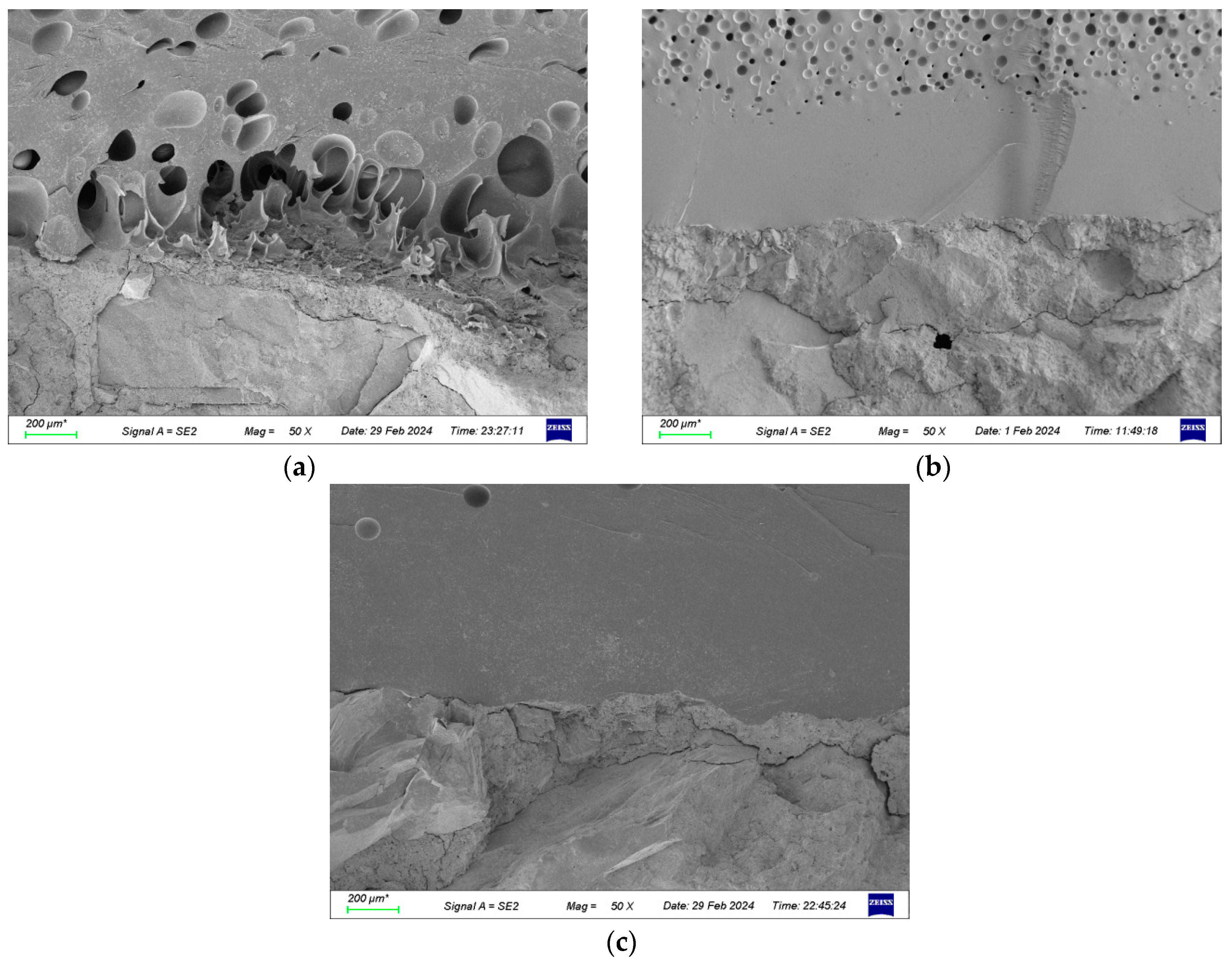 Applsci 14 10915 g021