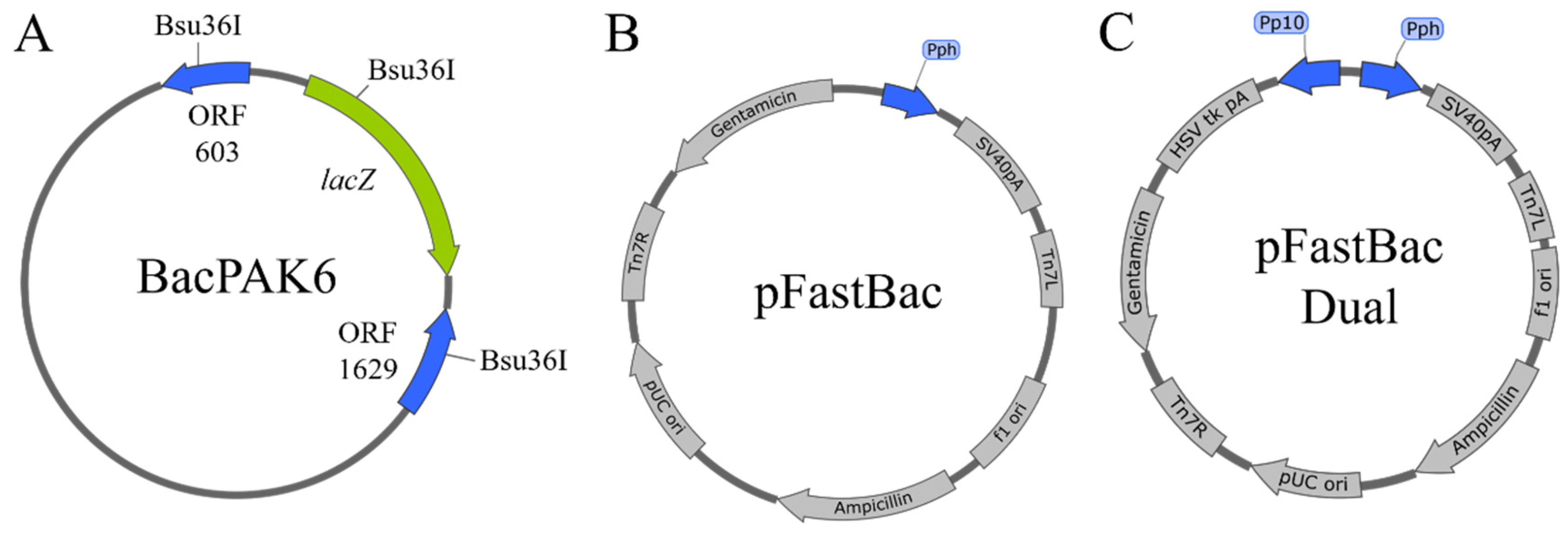 Applsci 14 10948 g002