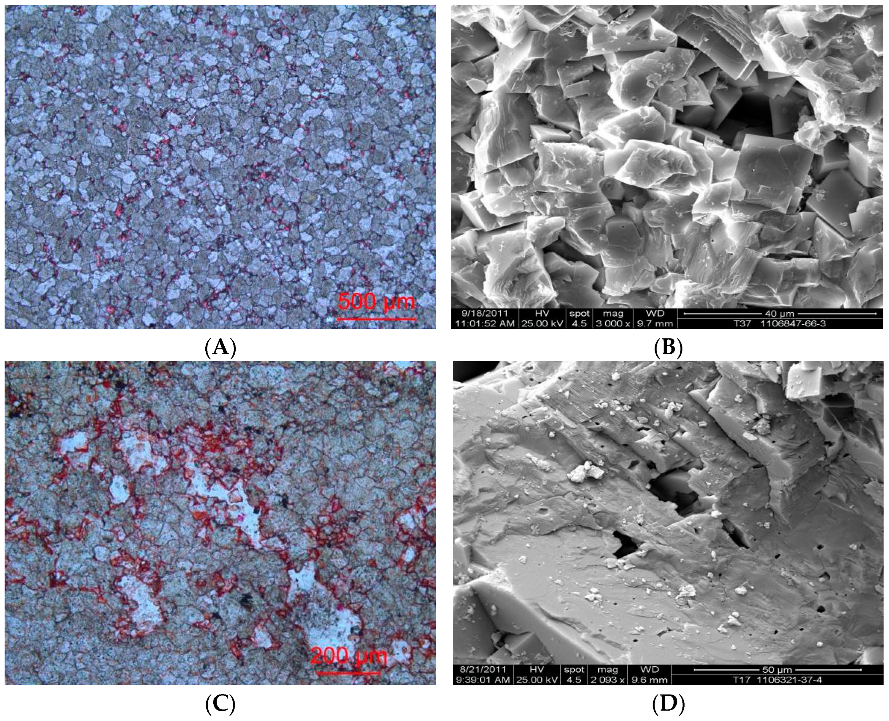 Applsci 14 10976 g003