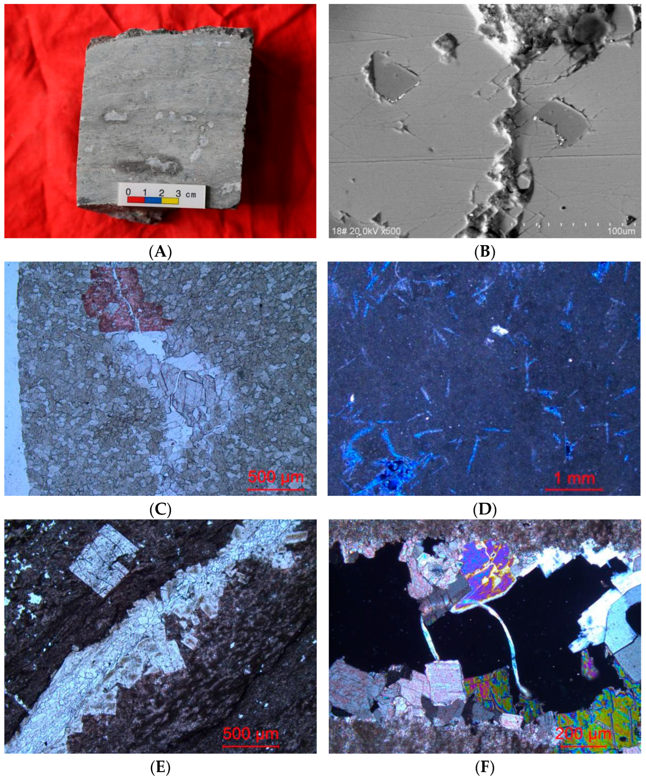 Applsci 14 10976 g004