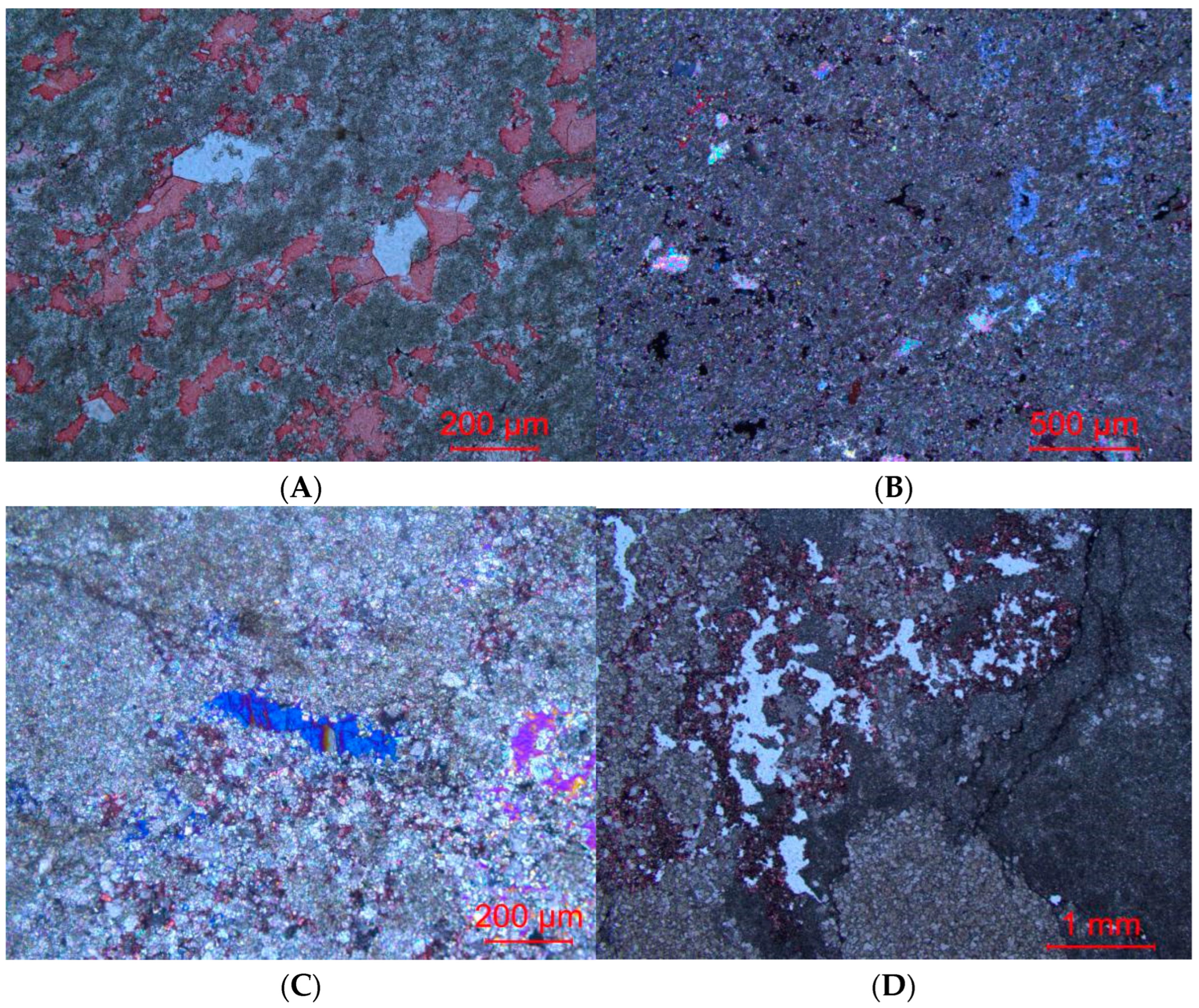 Applsci 14 10976 g005