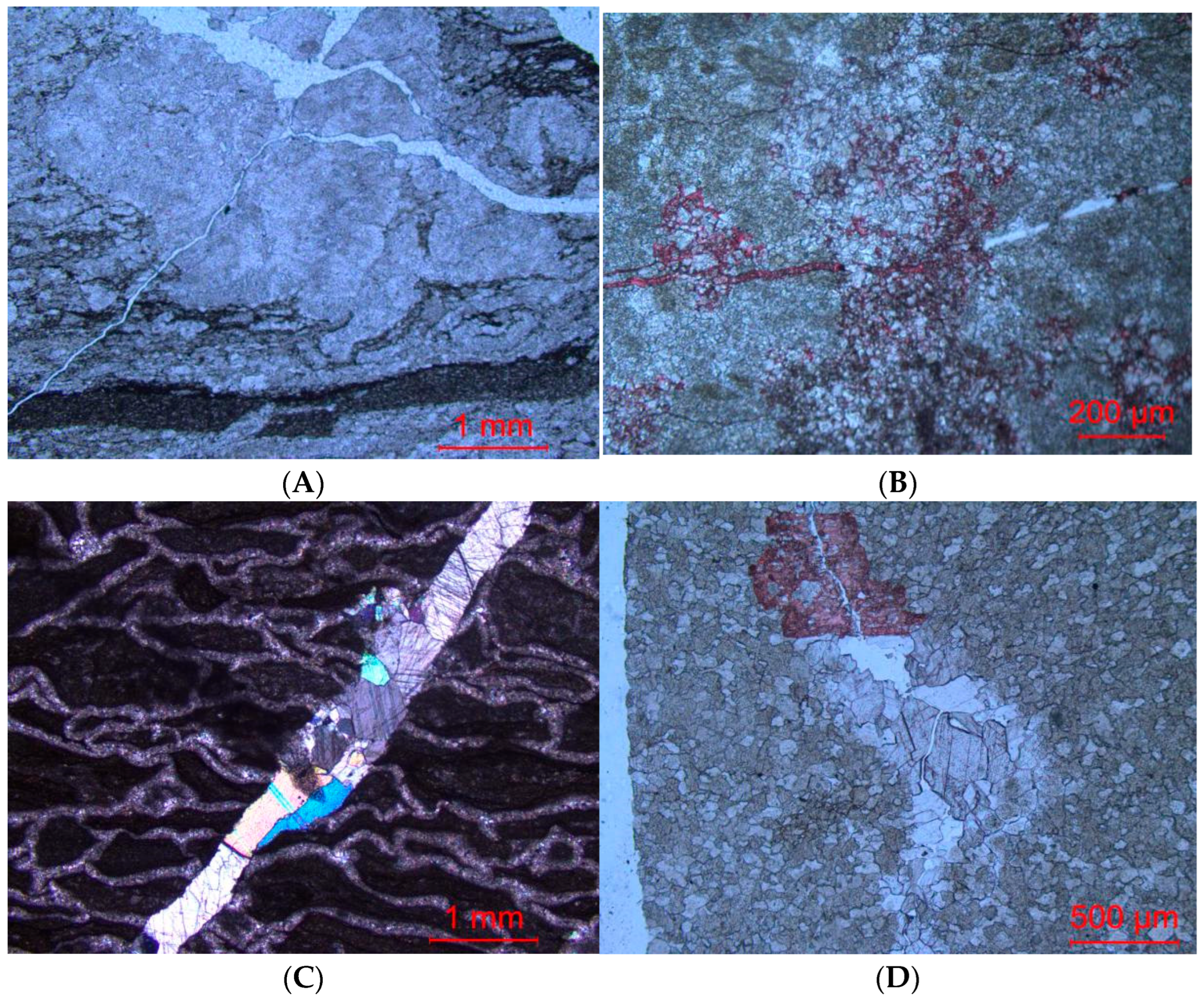 Applsci 14 10976 g006