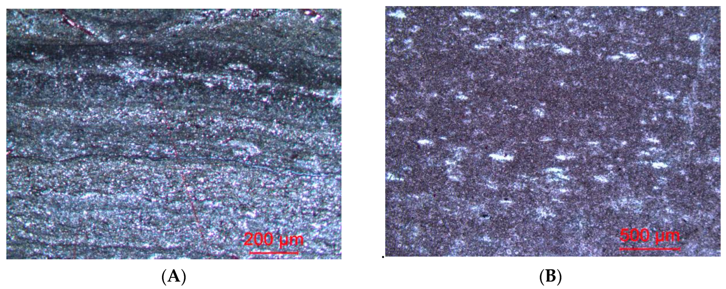 Applsci 14 10976 g012a