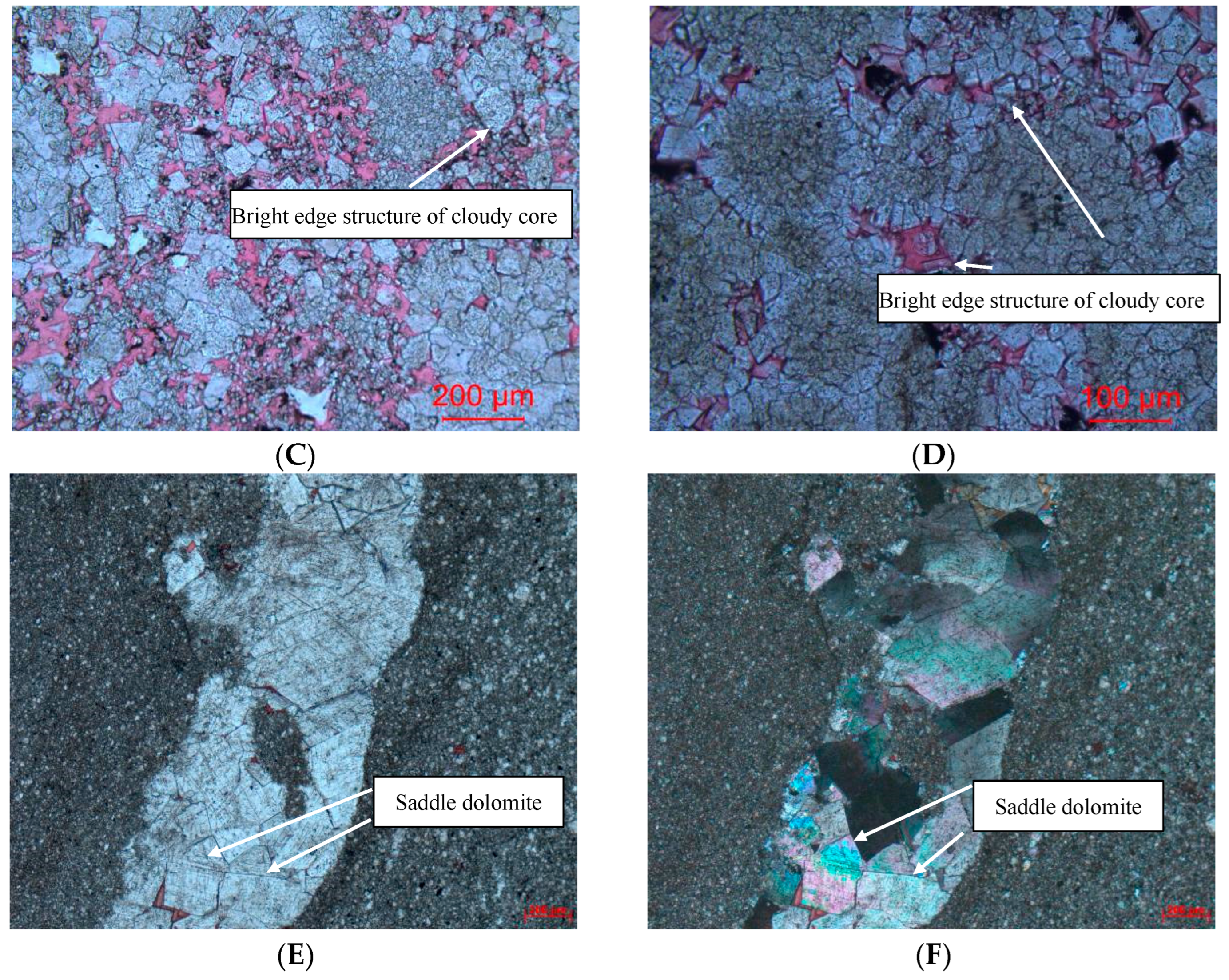 Applsci 14 10976 g012b