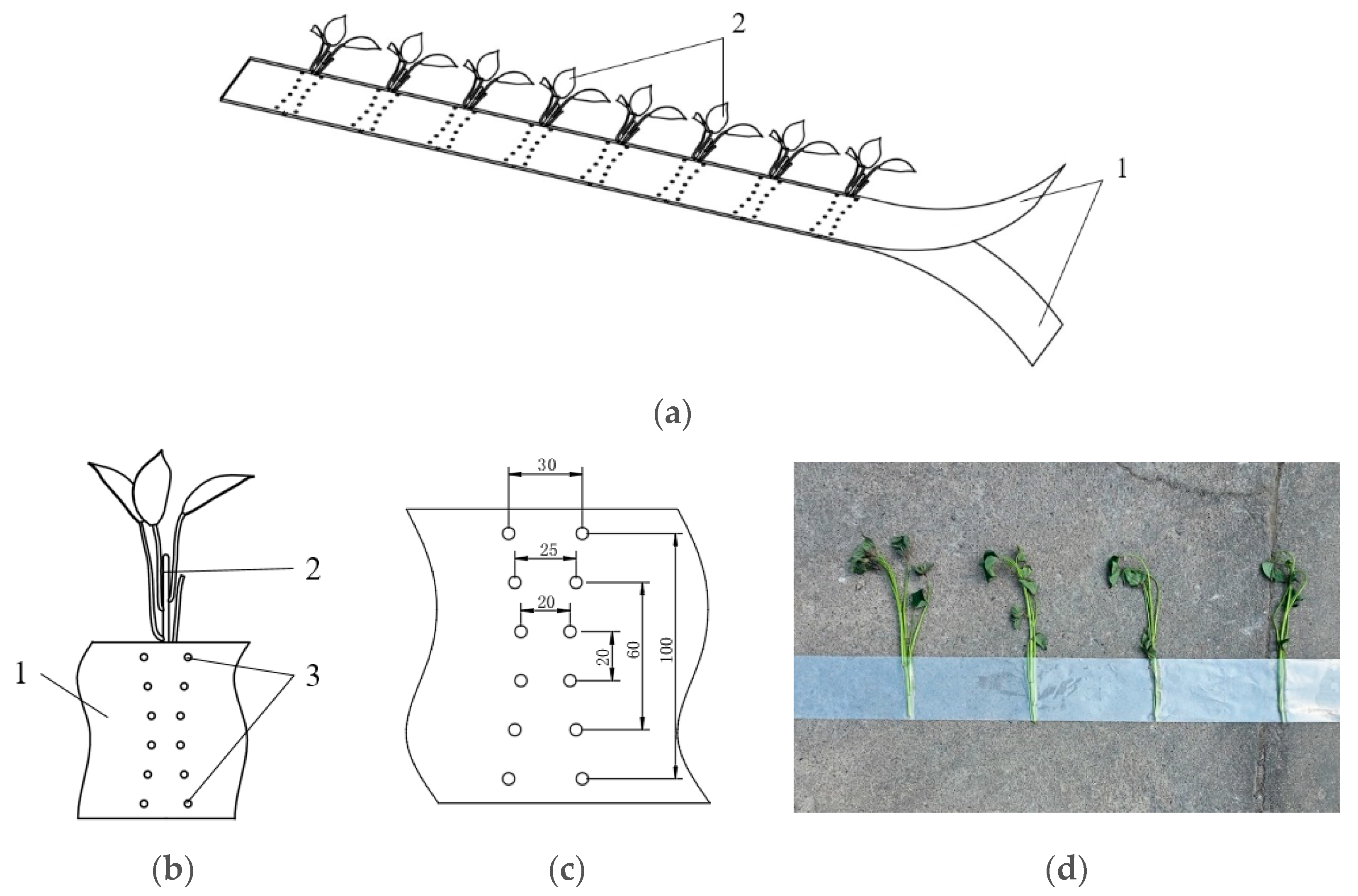 Applsci 14 10993 g002