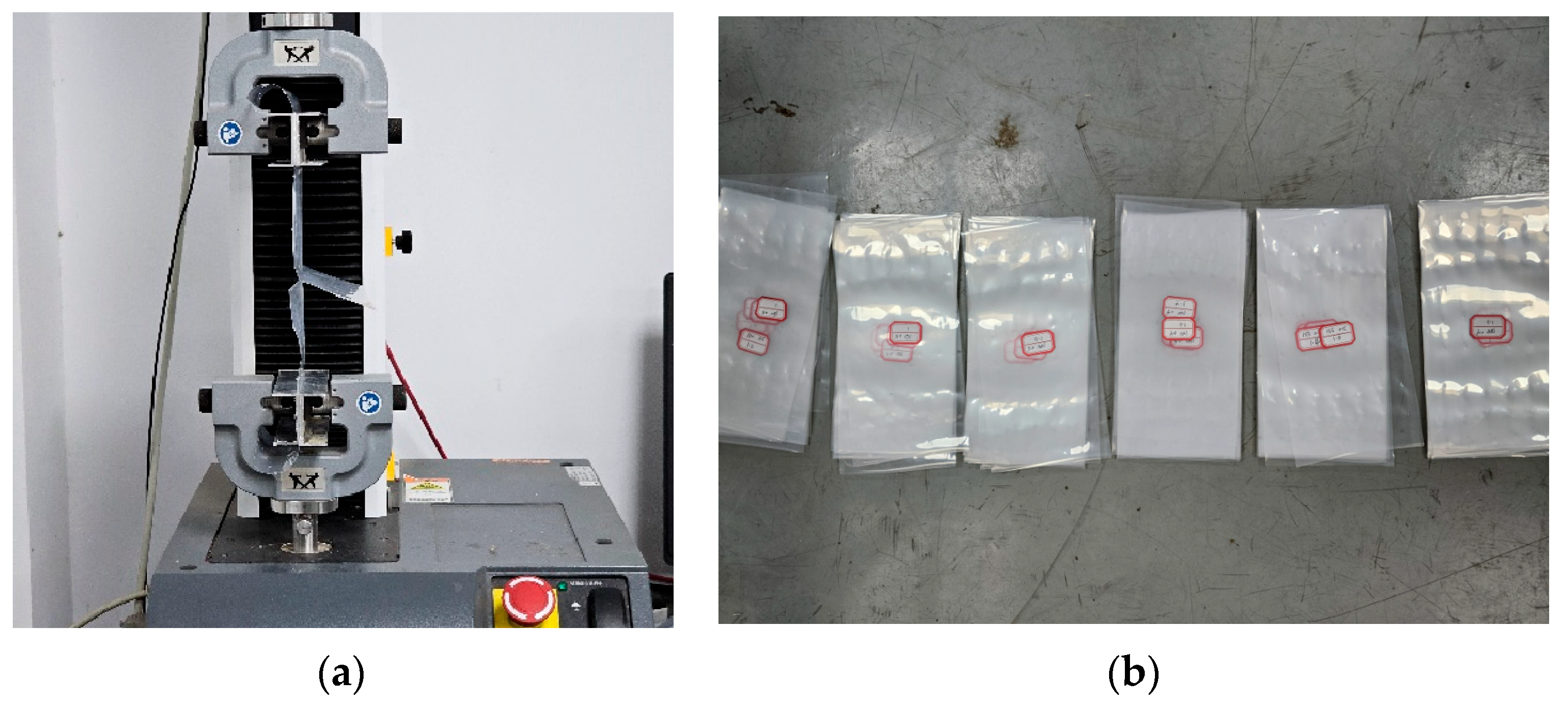 Applsci 14 10993 g011