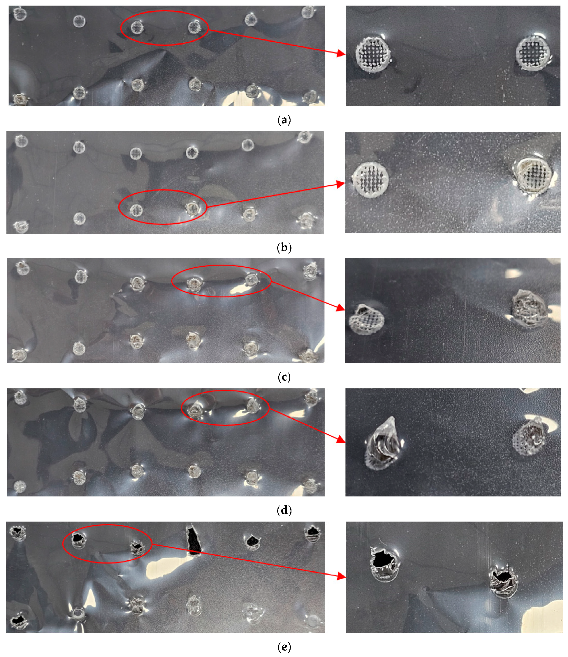 Applsci 14 10993 g013