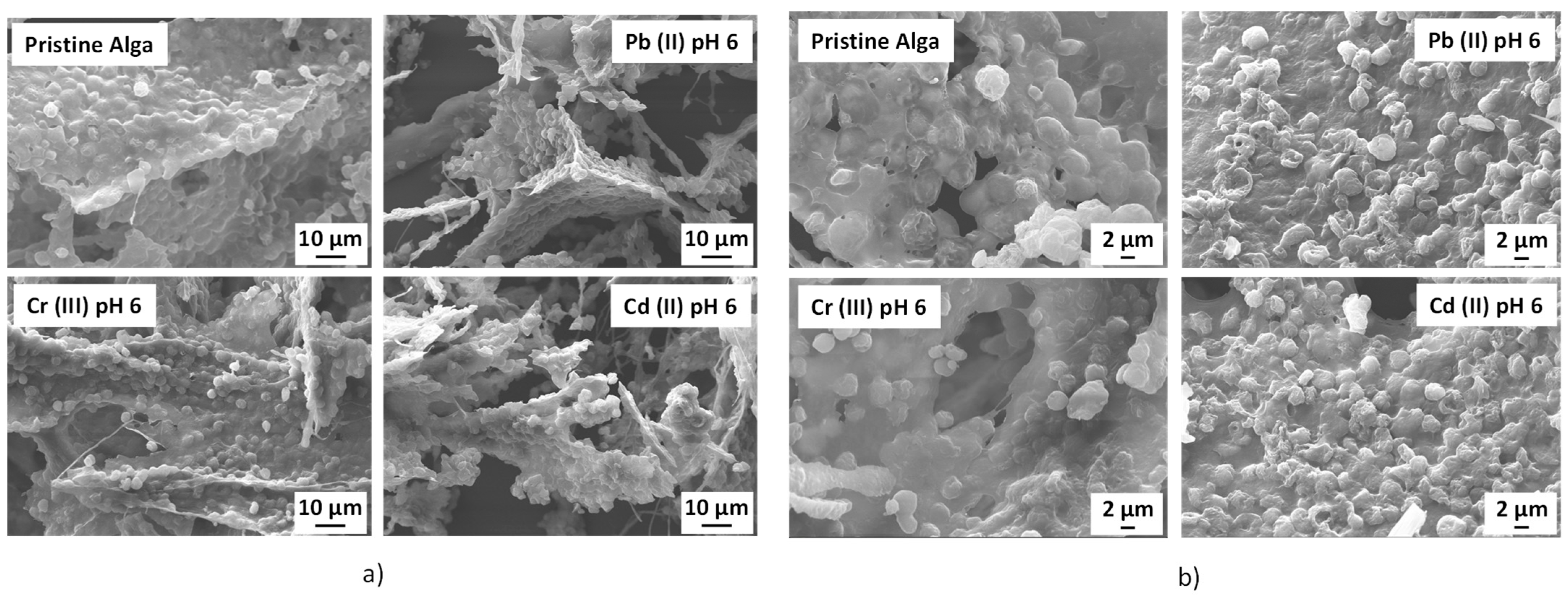 Applsci 14 11057 g007