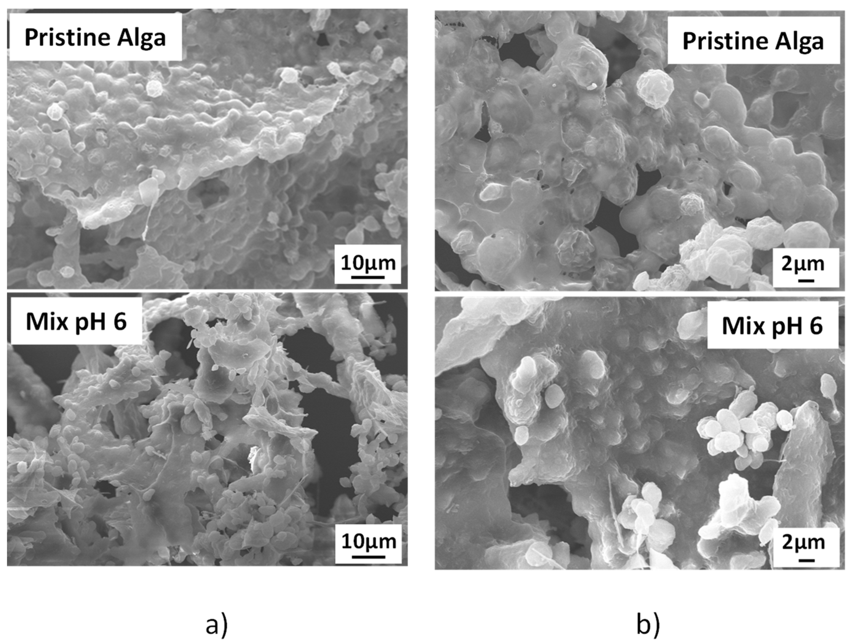 Applsci 14 11057 g011