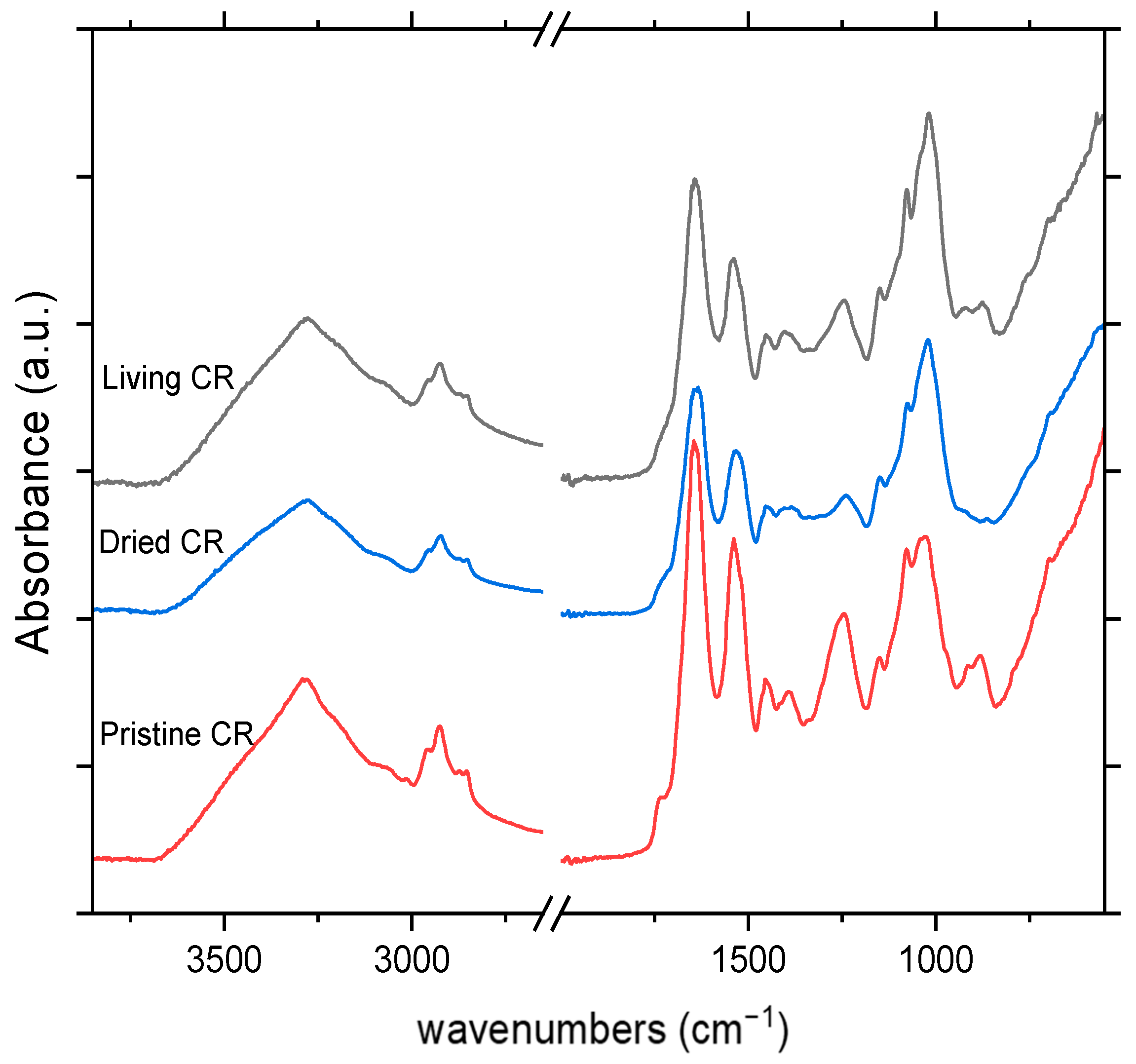 Applsci 14 11057 g012