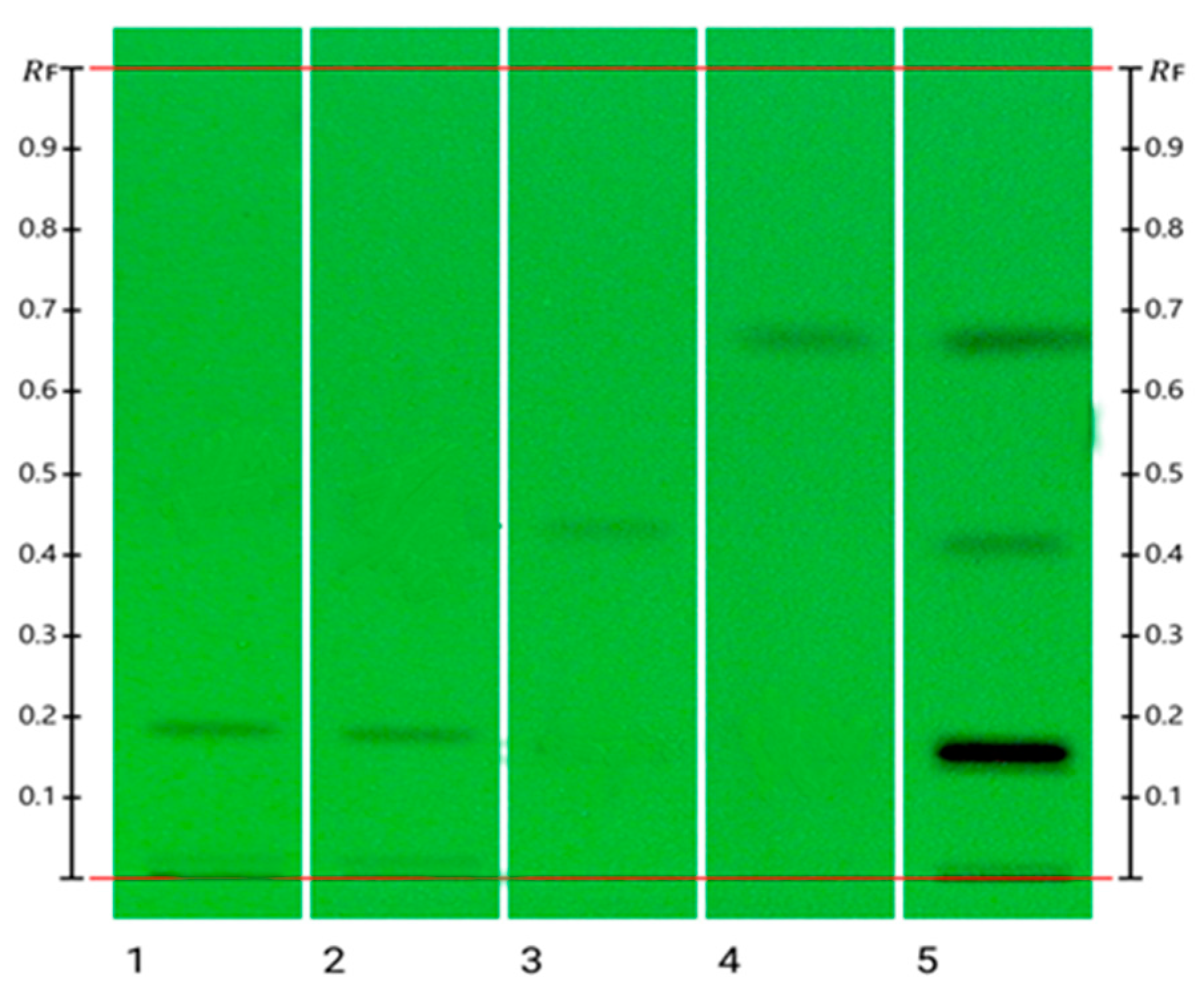 Applsci 14 11064 g002 Applsci 14 11064 g002