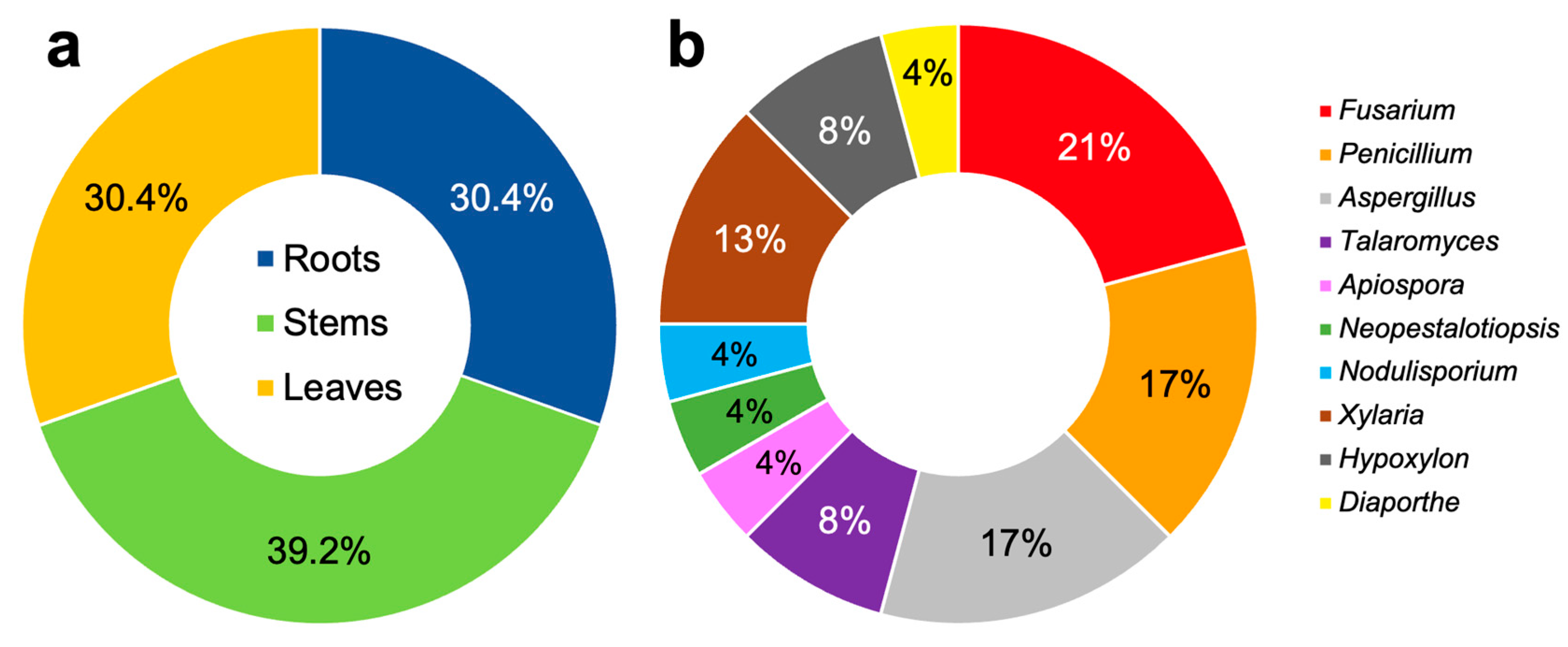 Applsci 14 11070 g001