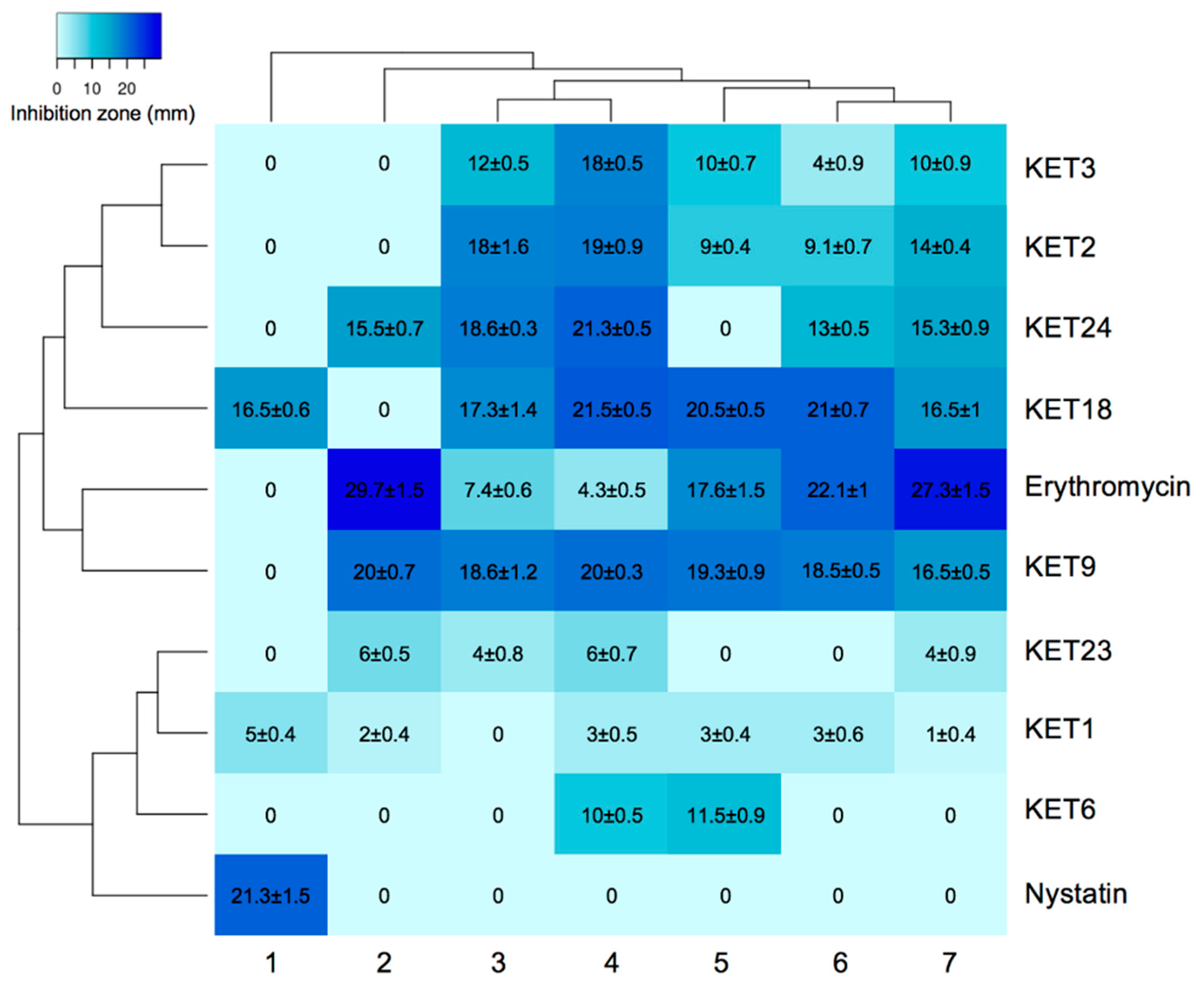 Applsci 14 11070 g002