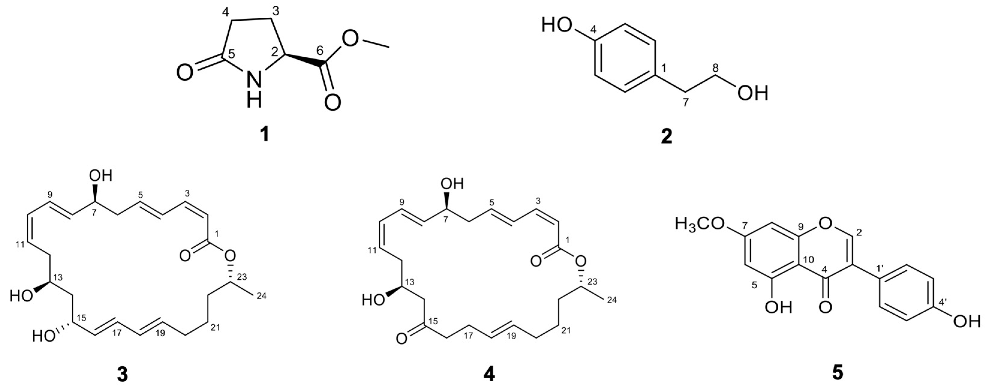 Applsci 14 11070 g004
