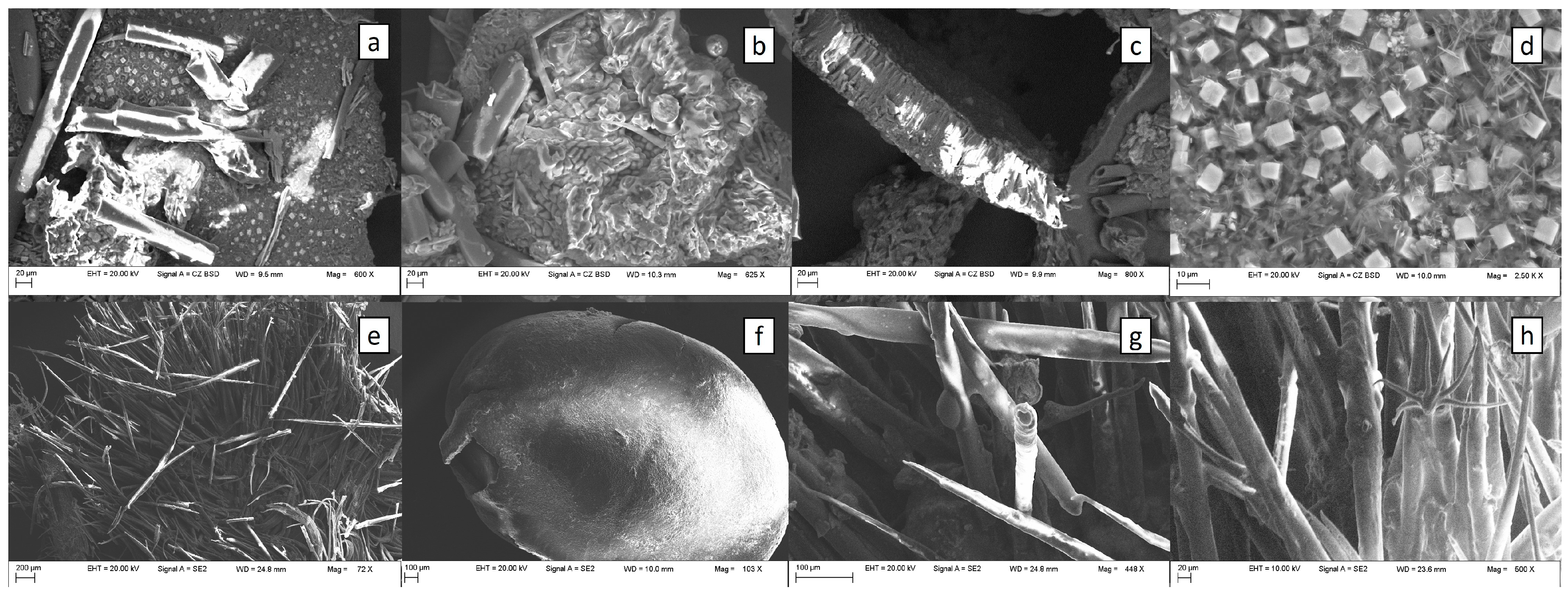 Applsci 14 11096 g002 Applsci 14 11096 g002