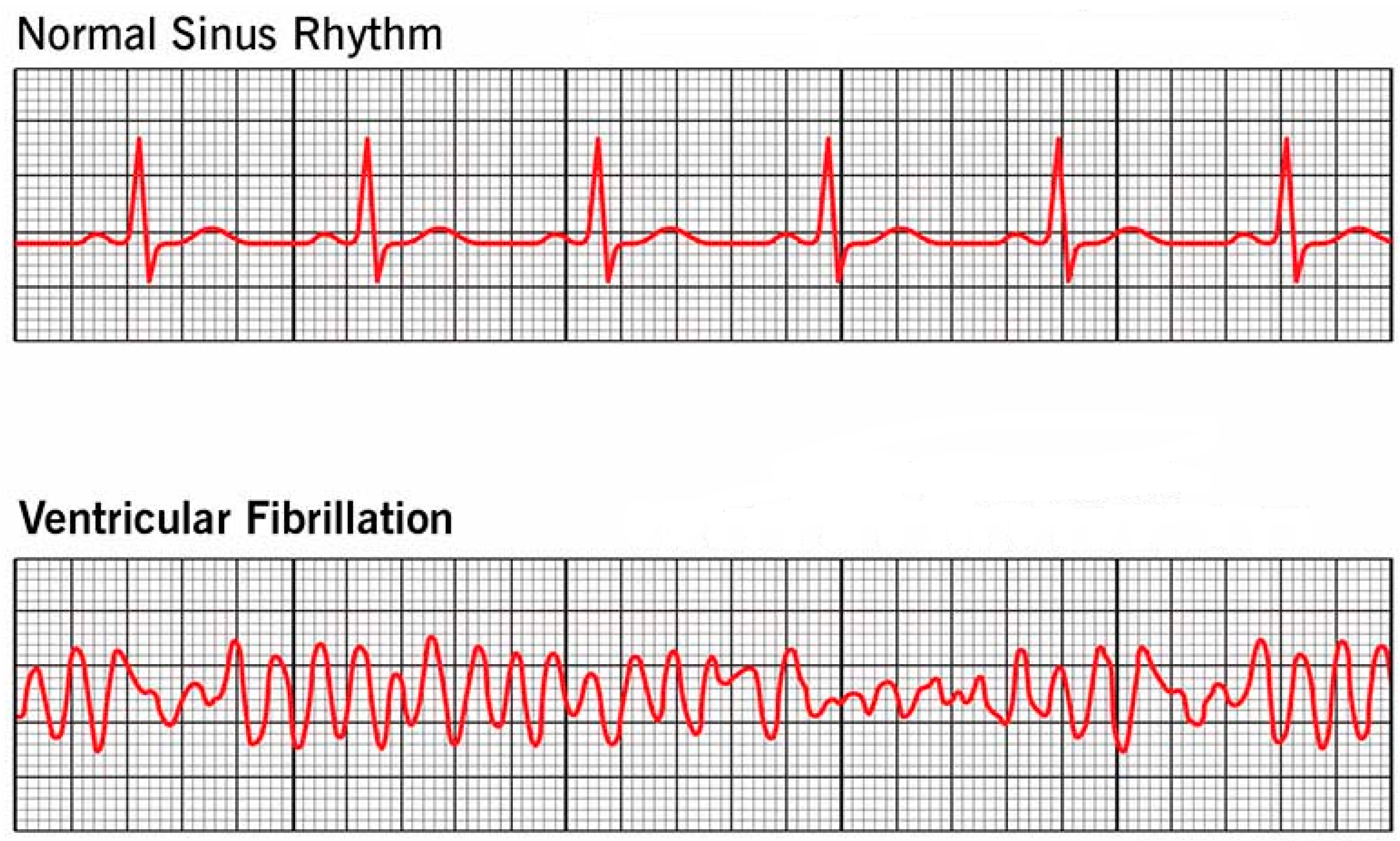 Applsci 14 11167 g001