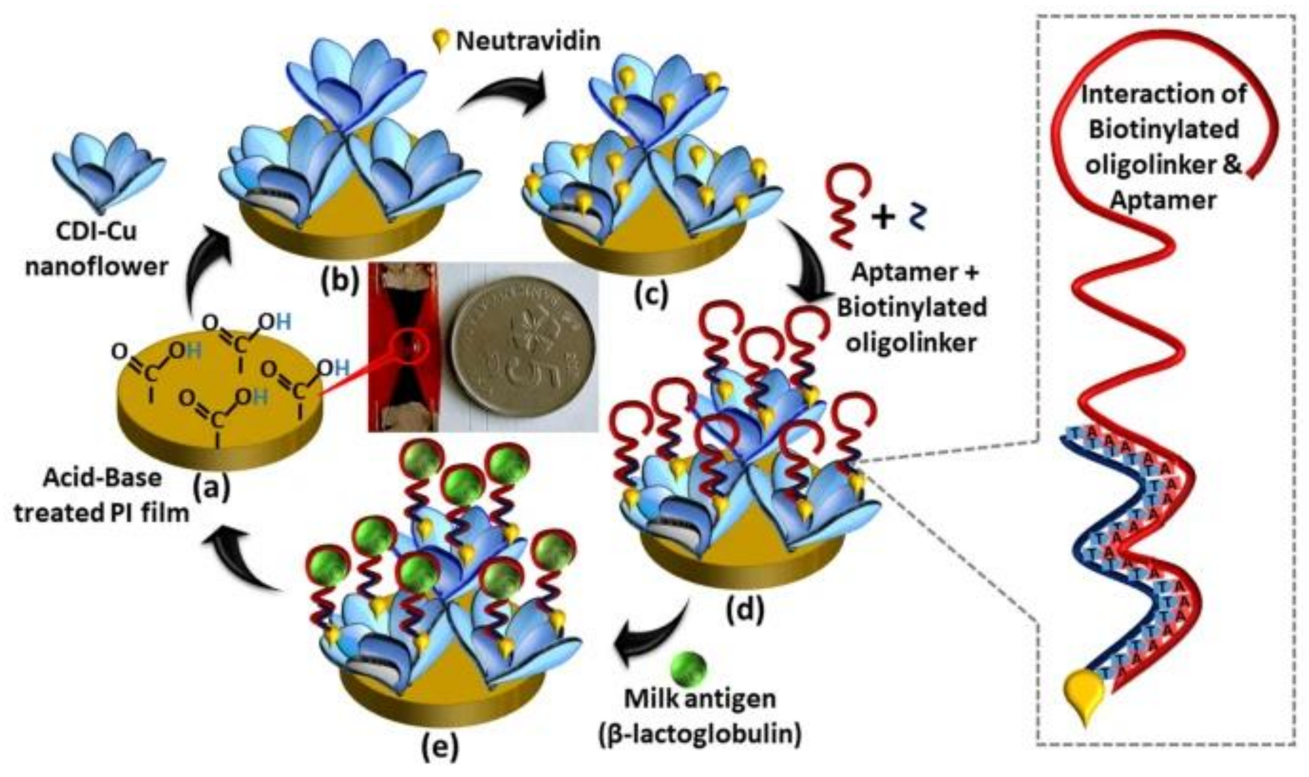 Applsci 14 11294 g008