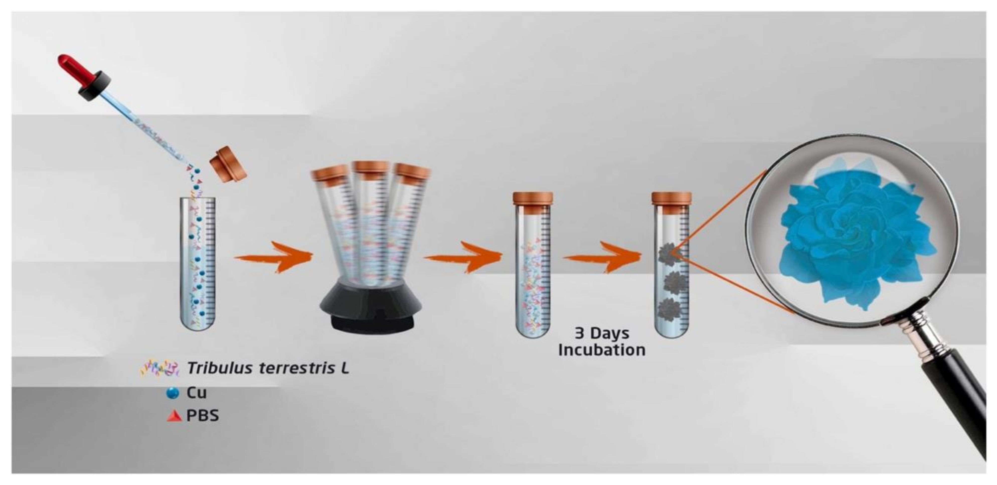 Applsci 14 11294 g010