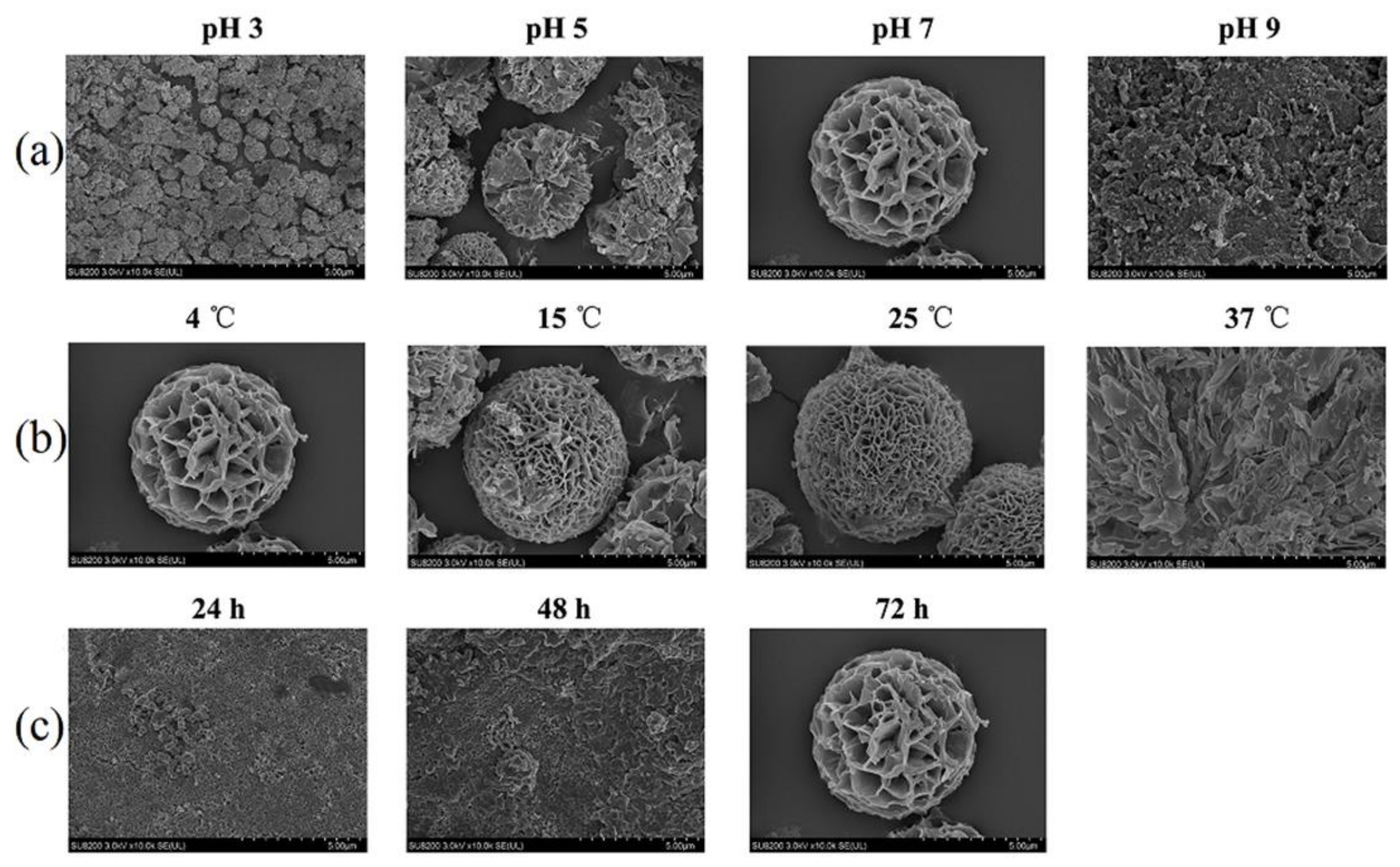 Applsci 14 11294 g011