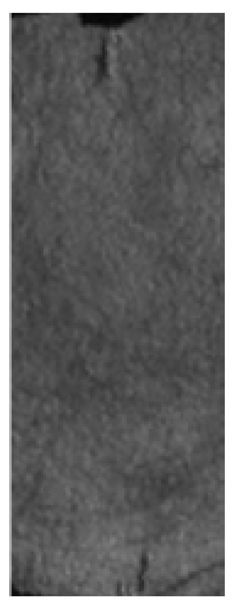 Applsci 14 11317 i001